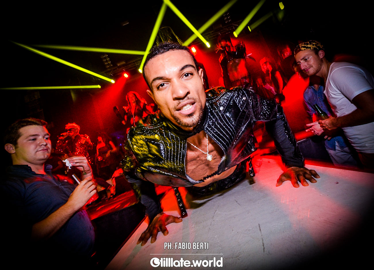 The Catshow in Switzerland