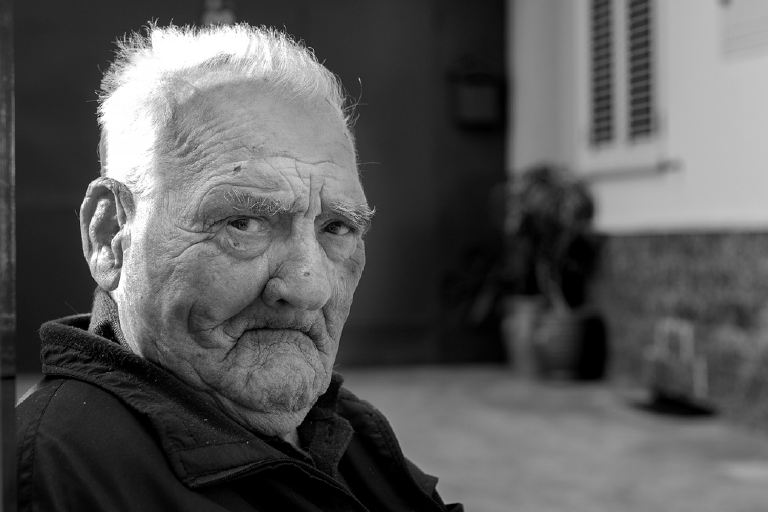 A look ..... so many stories!