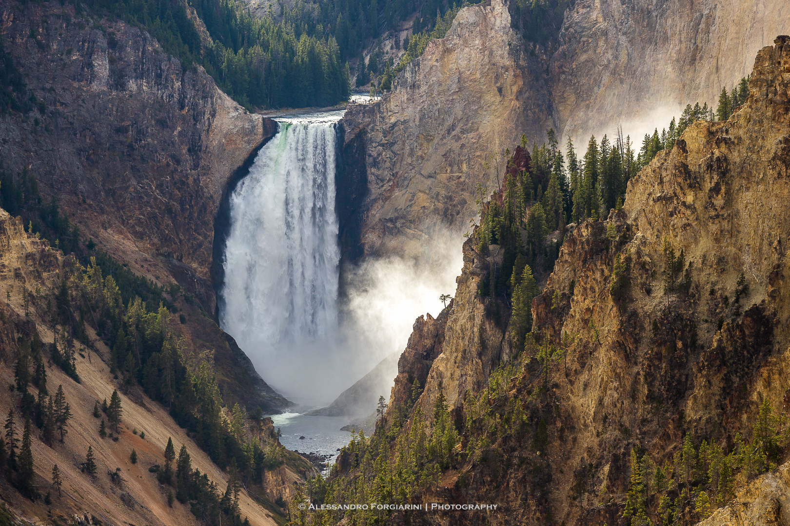 Yellowstone Lower Falls