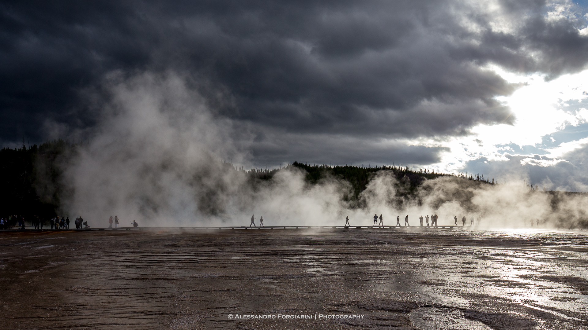 Walking in the fog...