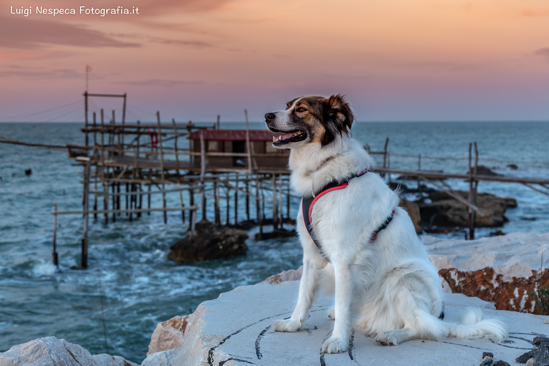 Costa dei Trabocchi - Melody e il Trabocco Punta Torre