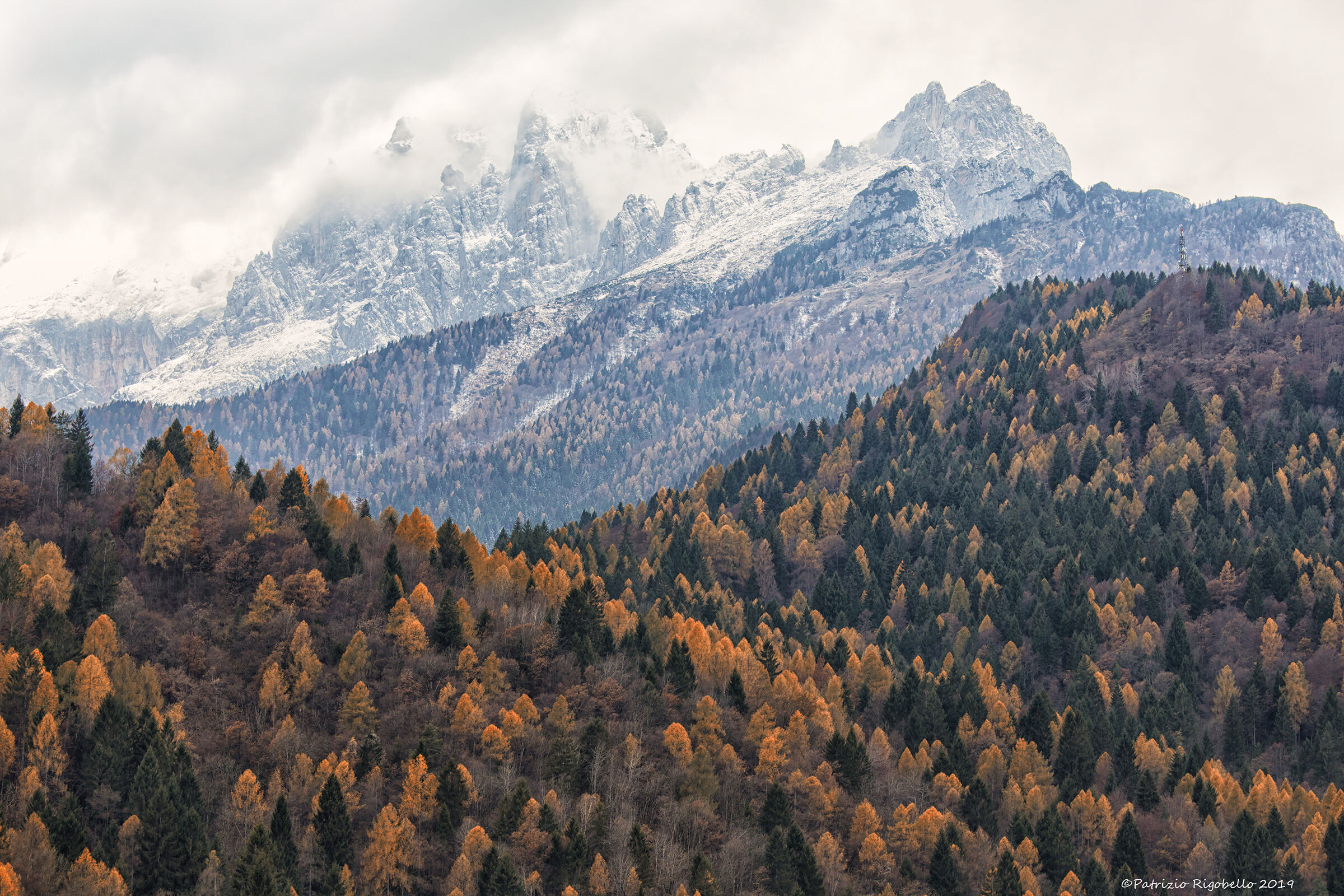 Vento arriva l'Inverno