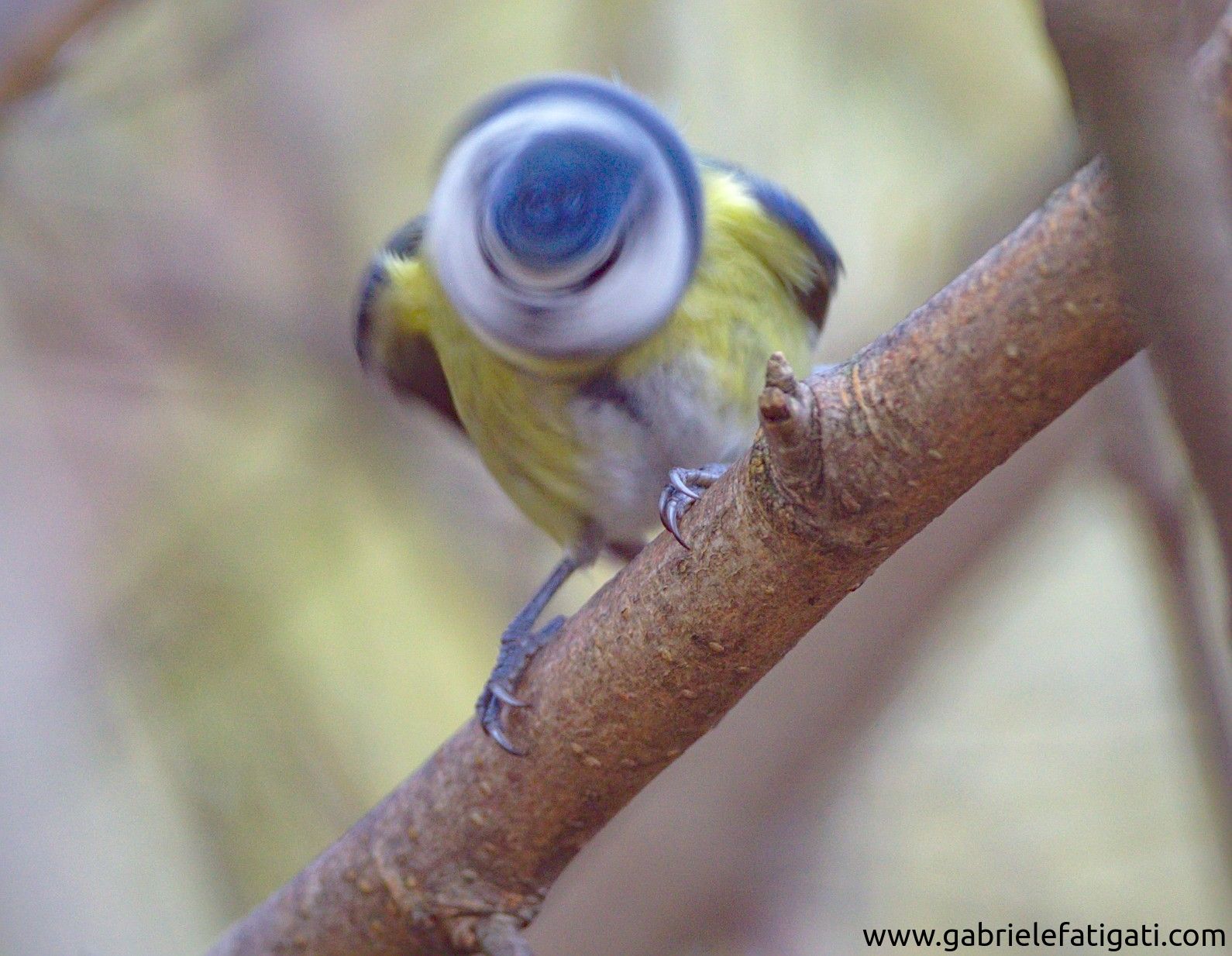 When your head turns