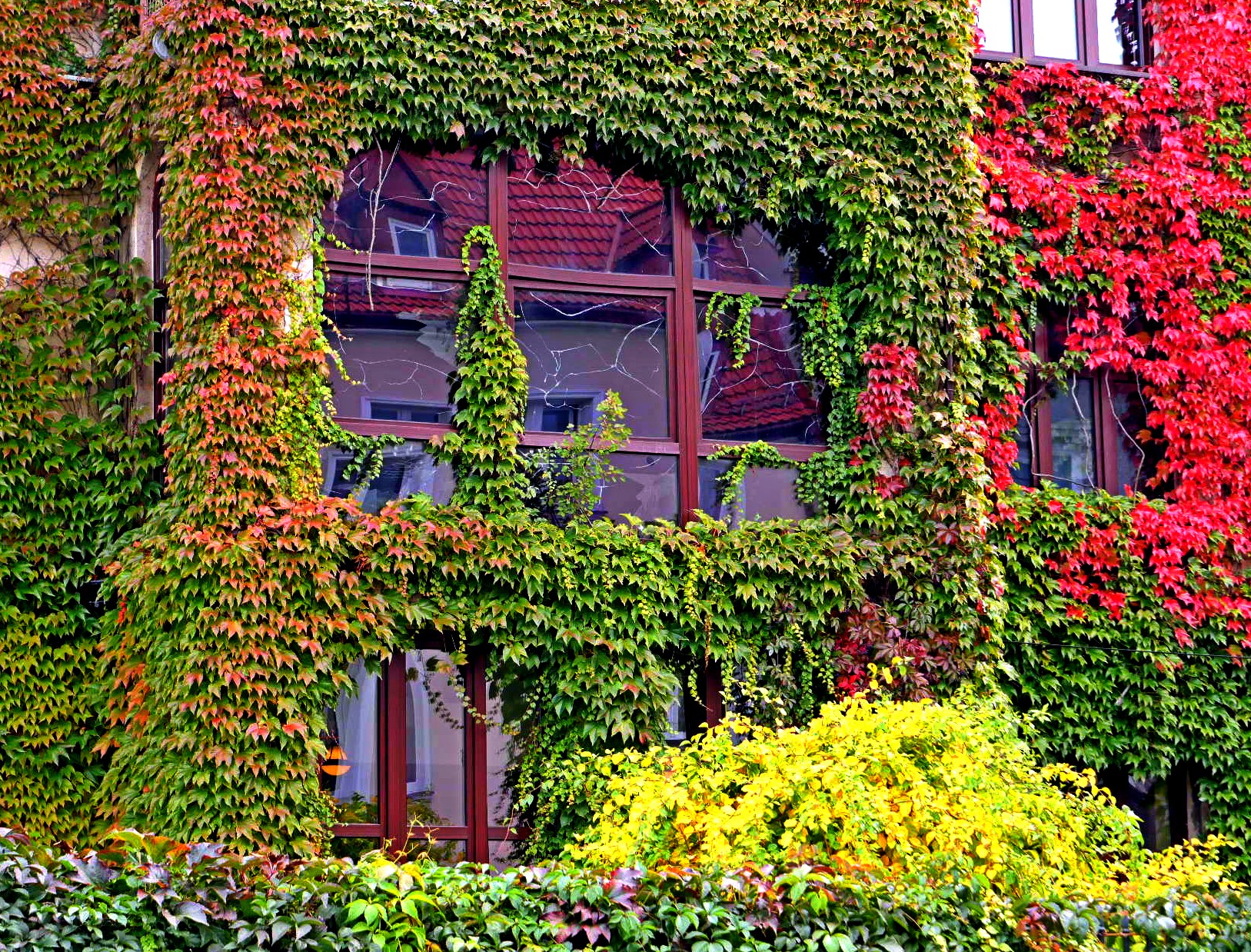 Windows 2 (informazioni in due)