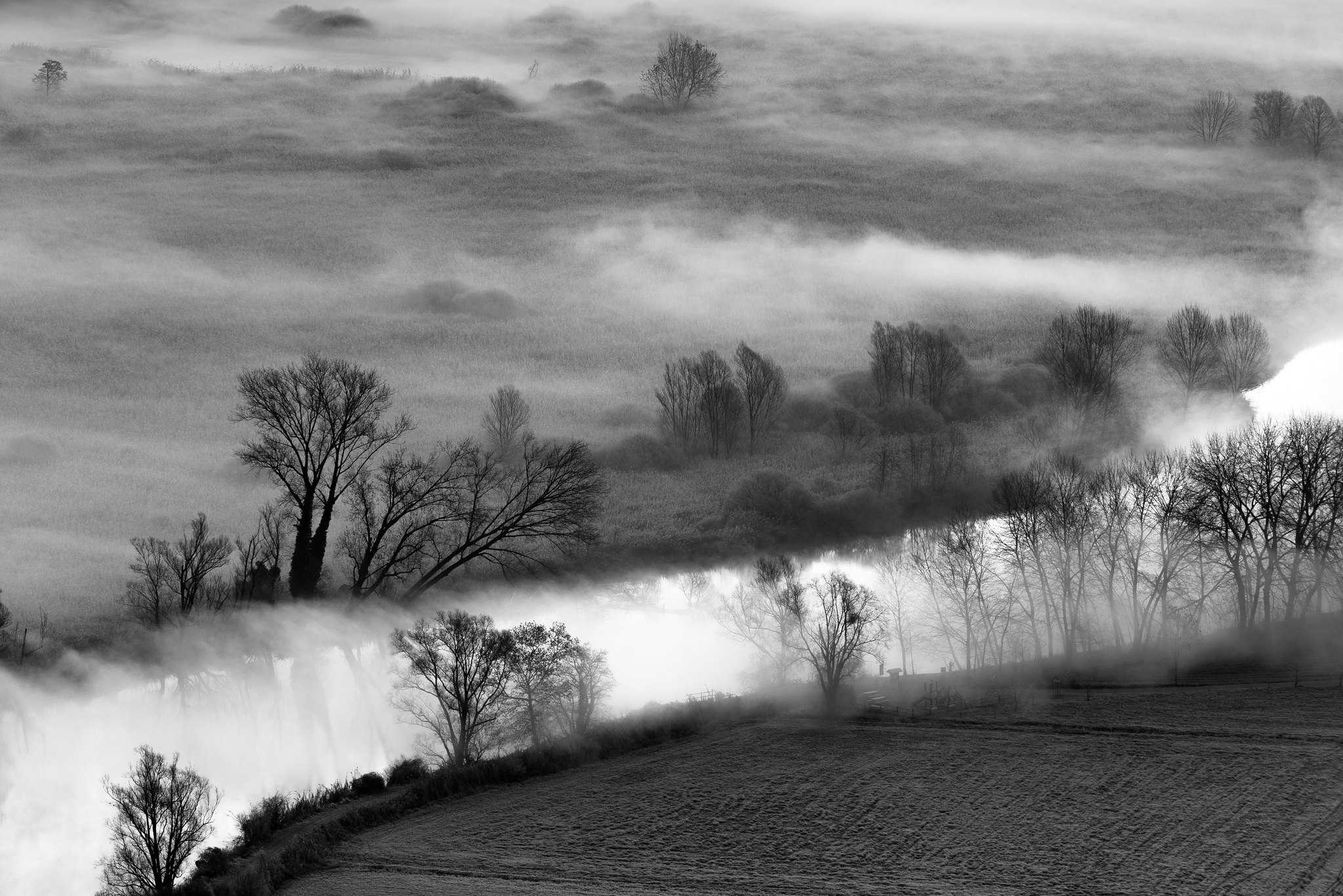 The Silver River