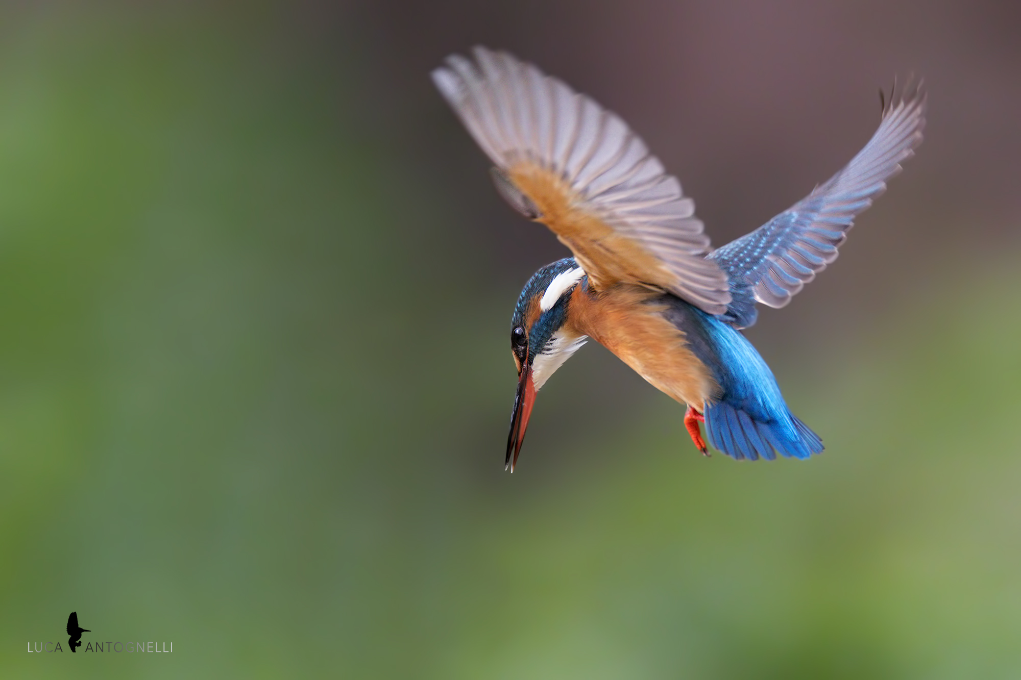 In discesa verso l'acqua