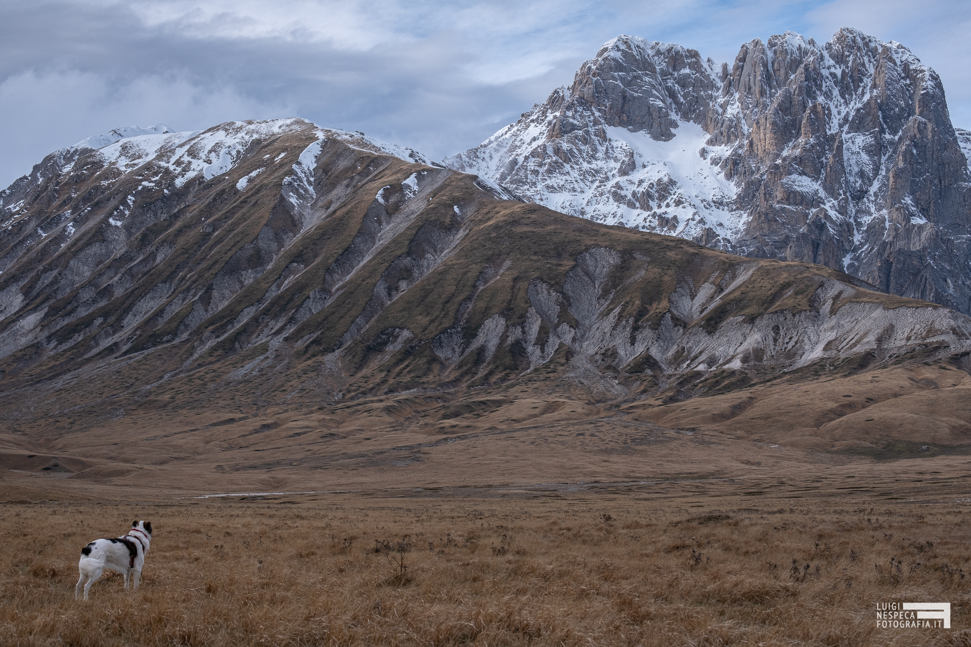 Melody in contemplazione al Gran Sasso
