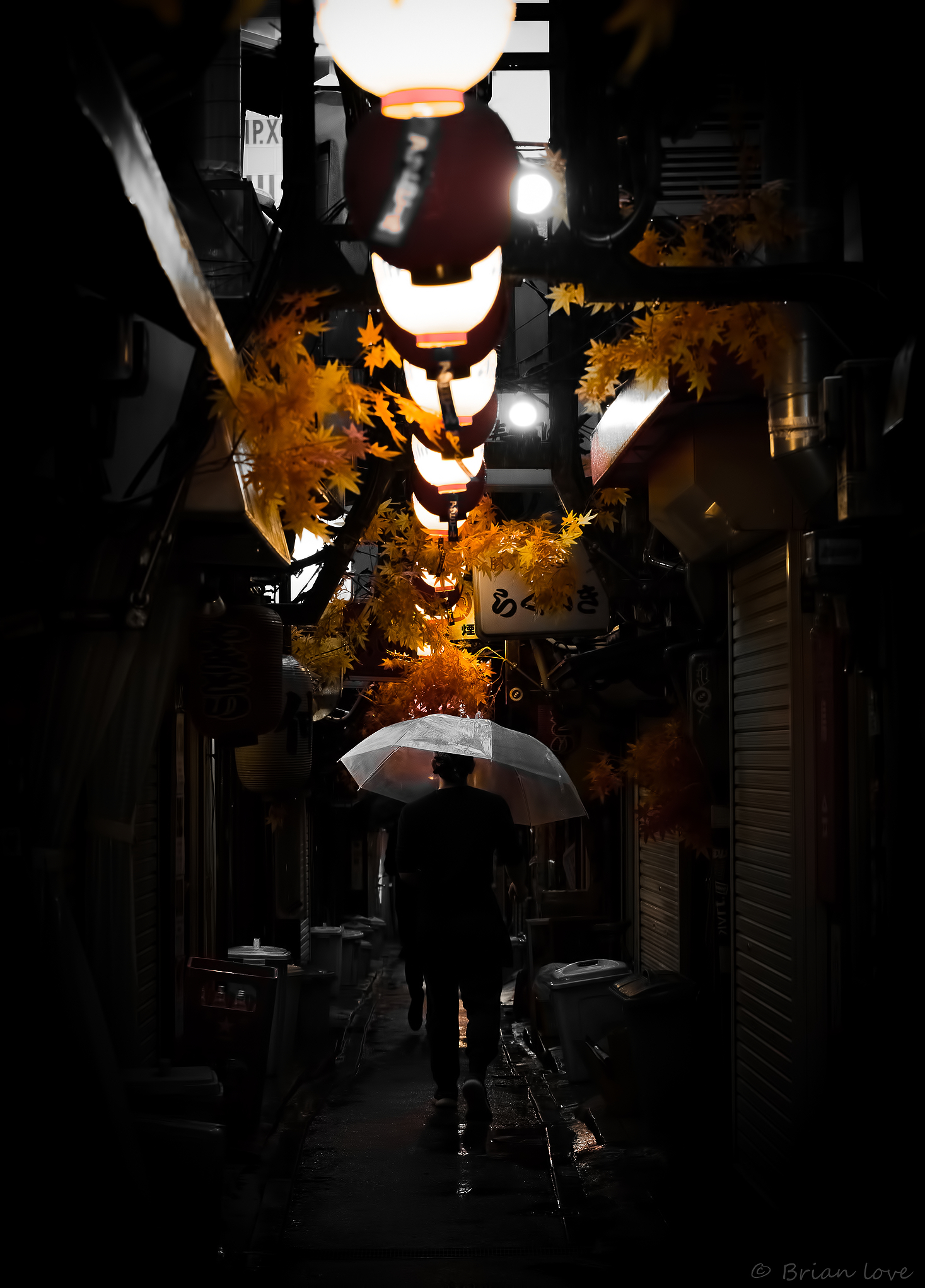 Foglie d'autunno e Vicolo