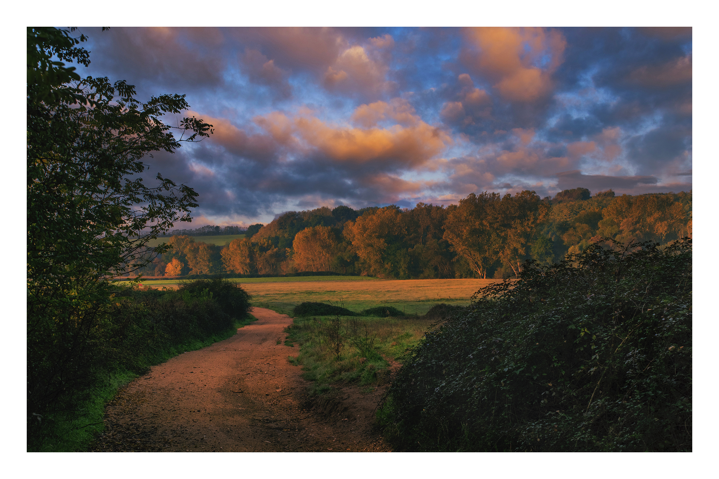 Tramonto sulla radura