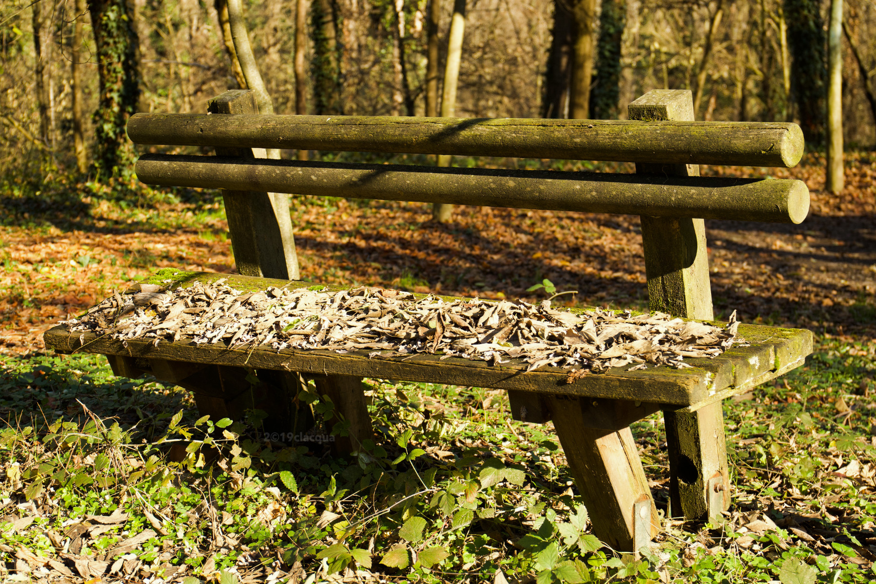 Nessuno in panchina.