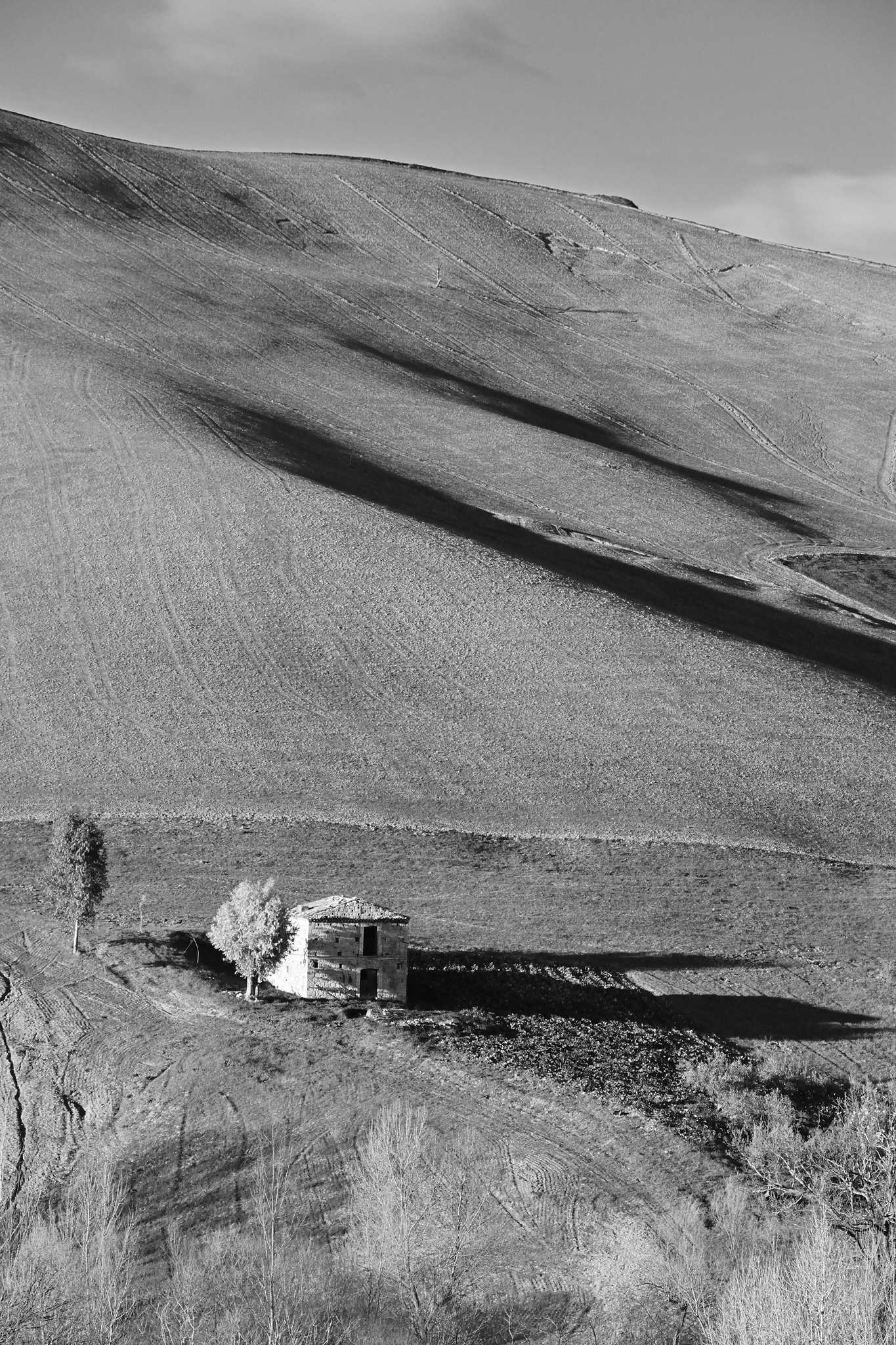 The house and its shadow