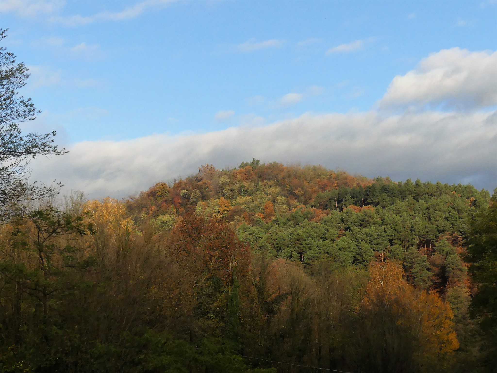 Untitled Photo