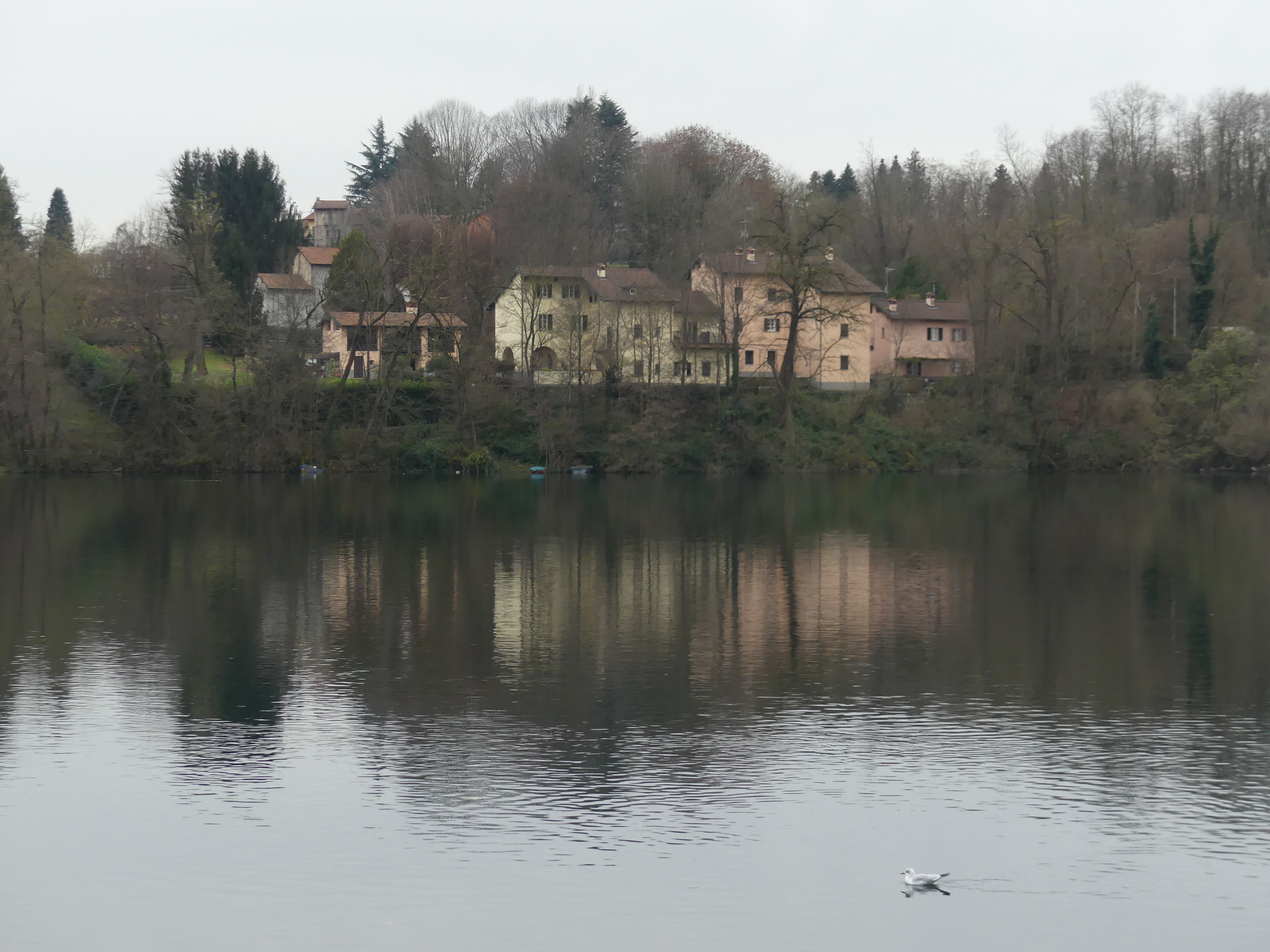 Untitled Photo