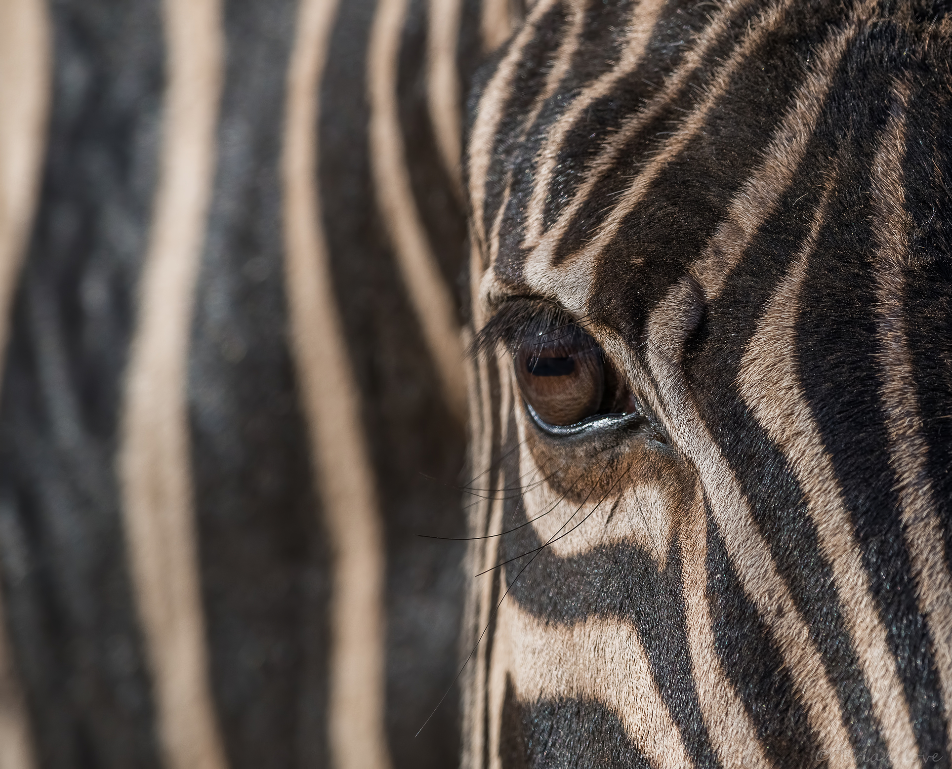 Textures, Colors & Patterns