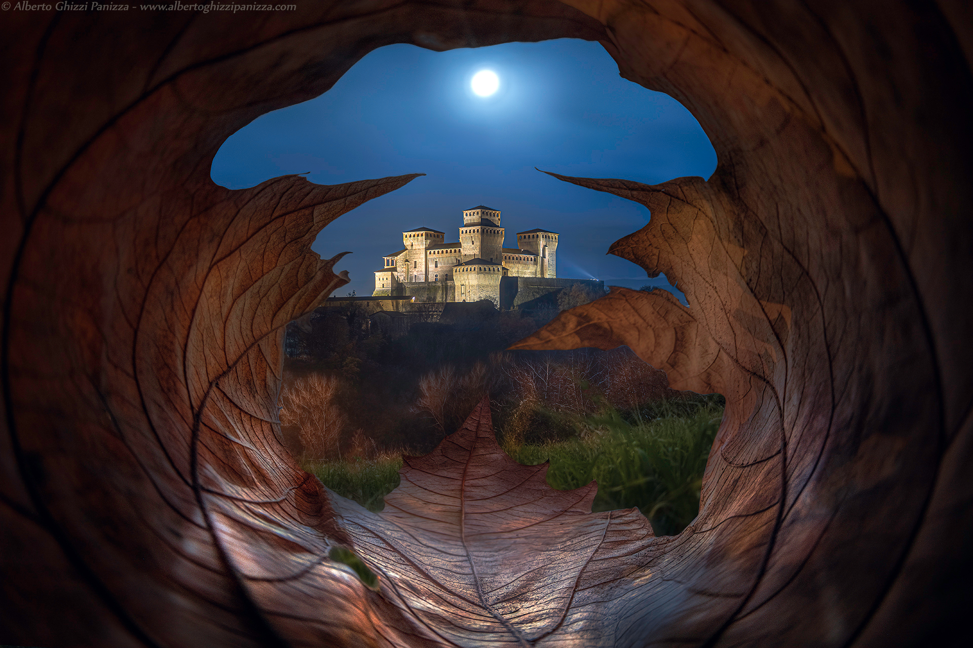 Autumn nights in the Moonlight