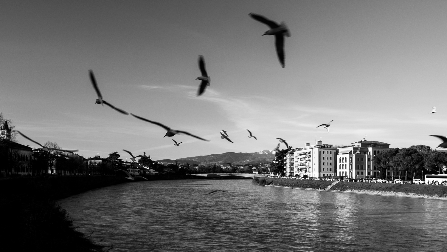 Around the river, Verona