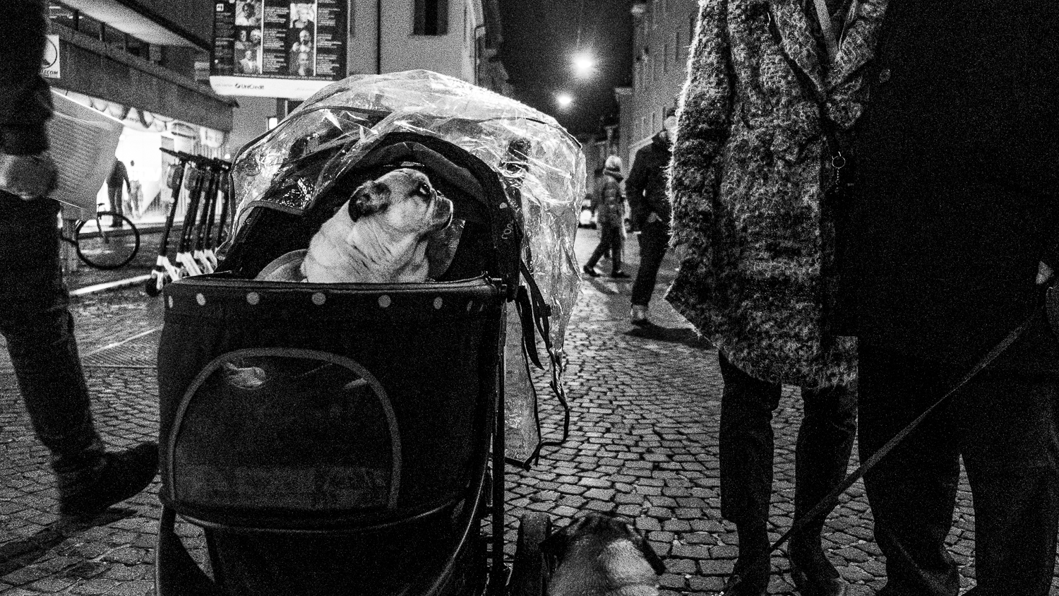 God, homeland, family...