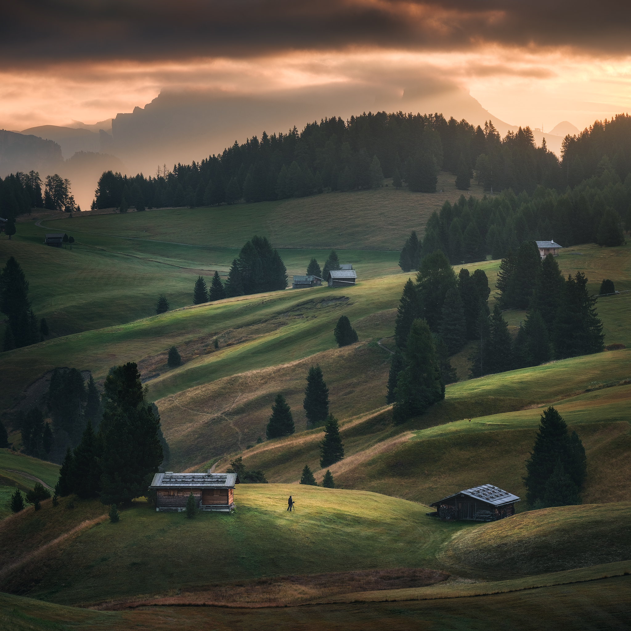 With the roe - Dolomites Natural Park