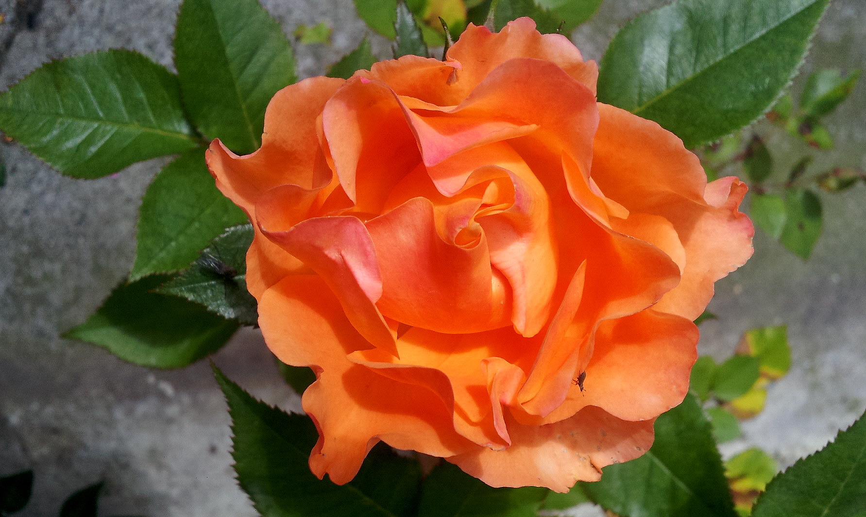 Perdersi e' un'attimo!