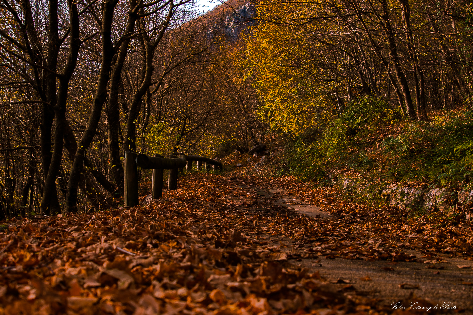 "It's like aut,"" he said.