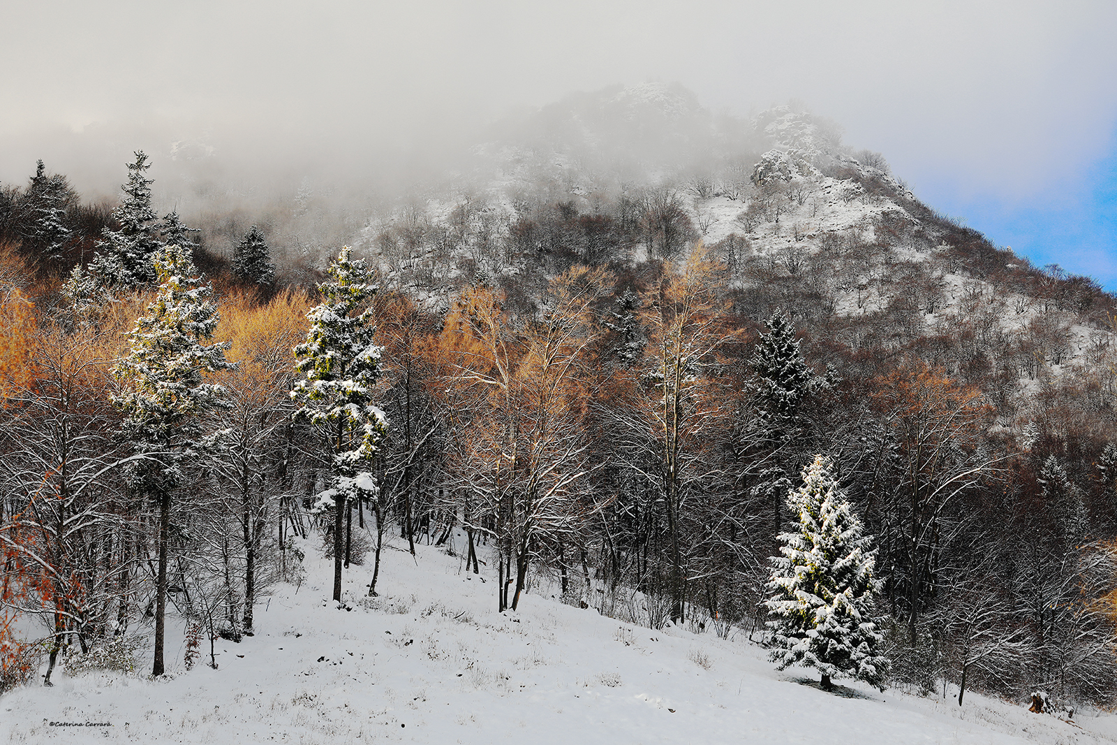 Neve, nebbia e sole...