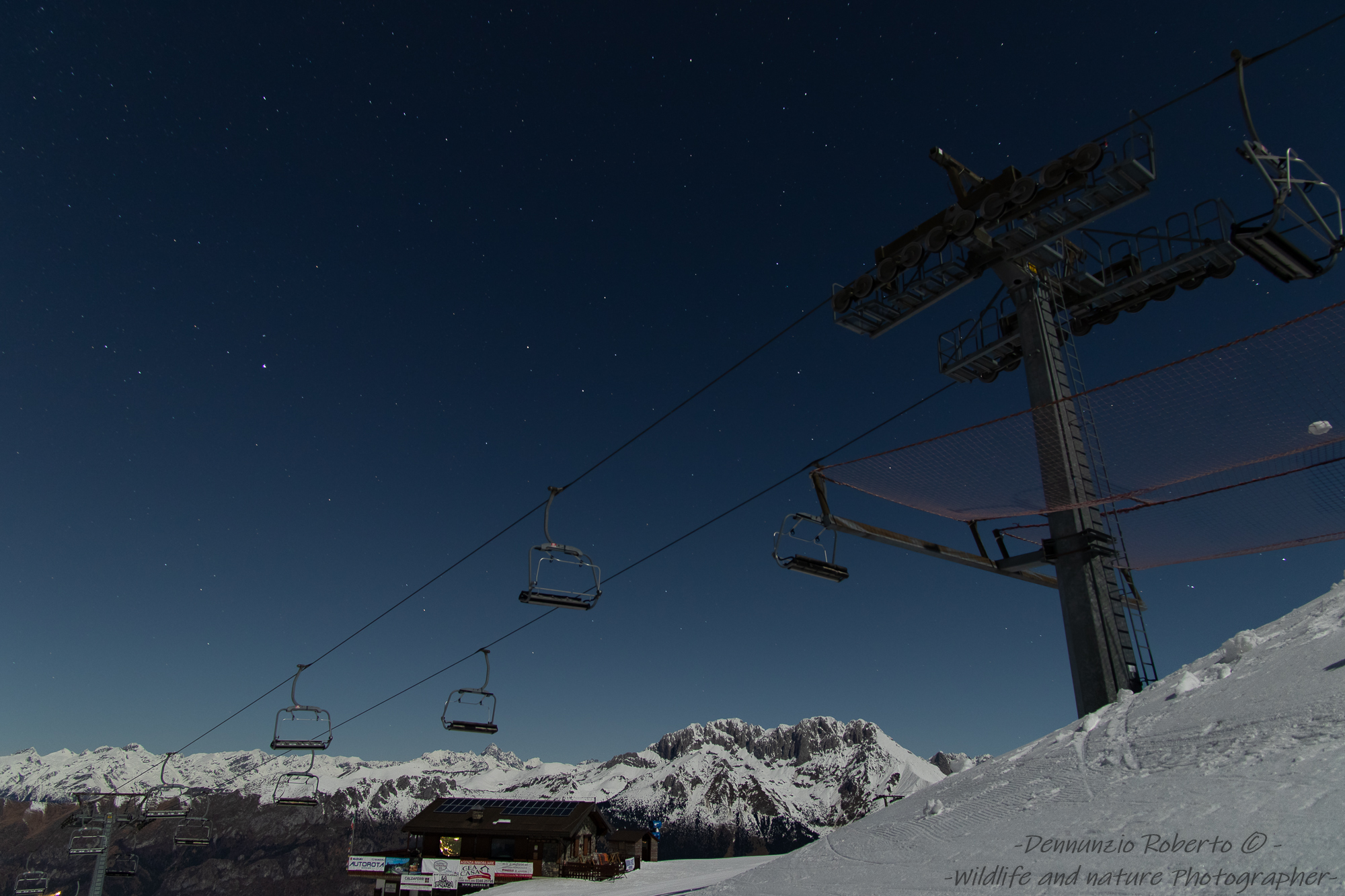 Queen framed in moonlight