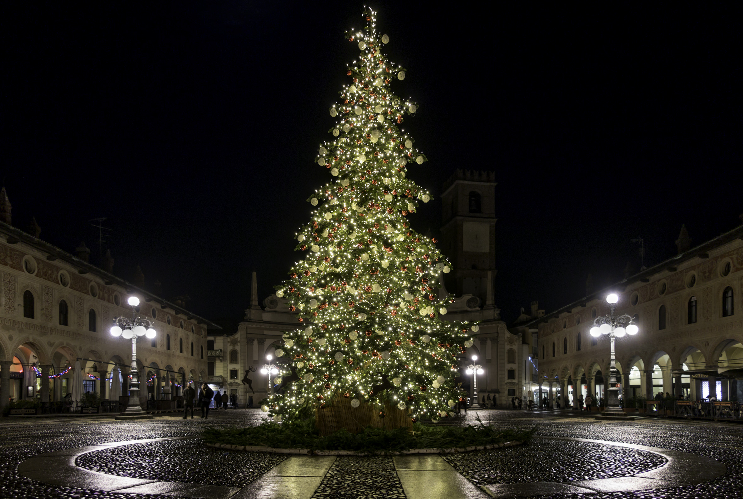 Merry Christmas 2019 from Vigevano