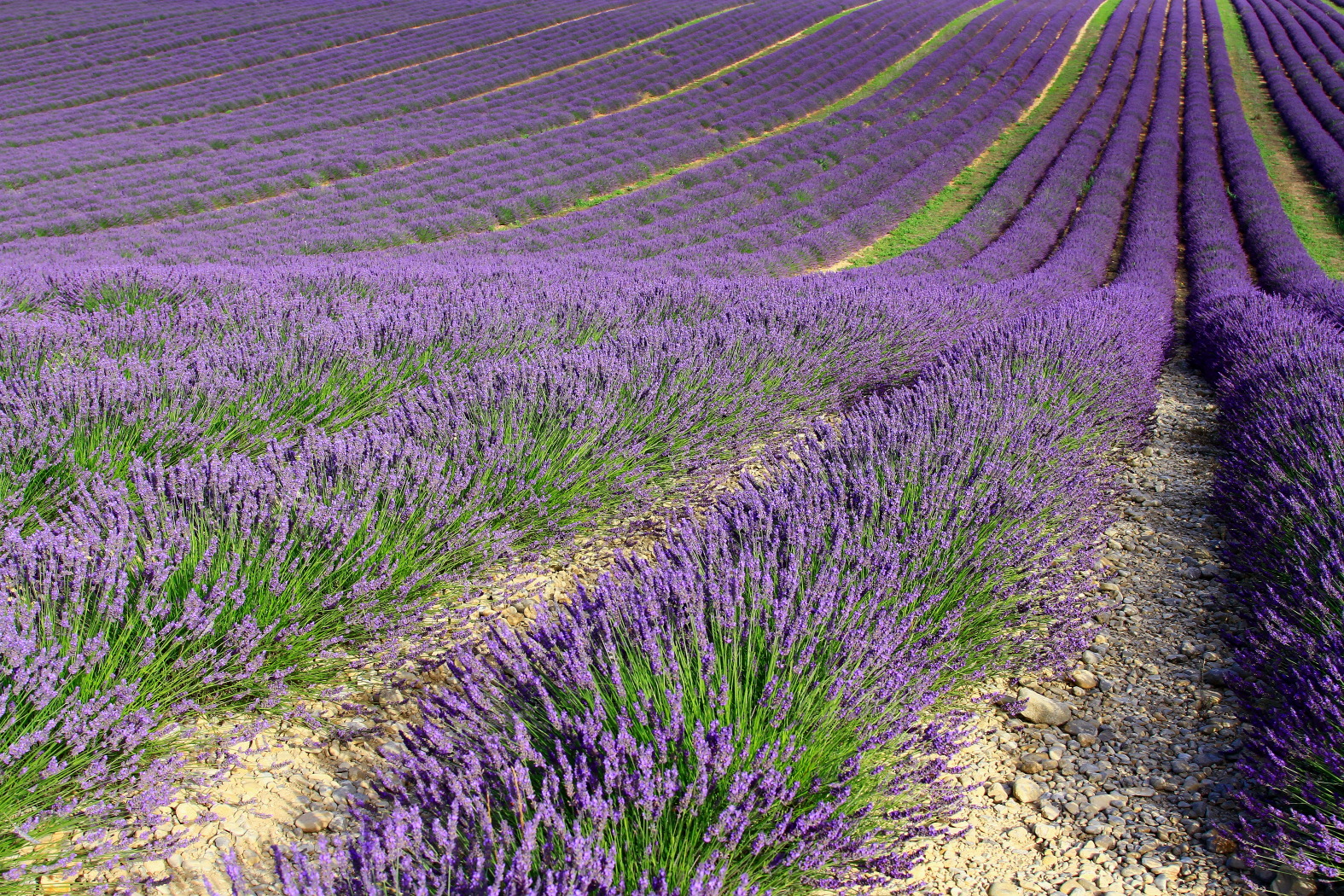 Provence