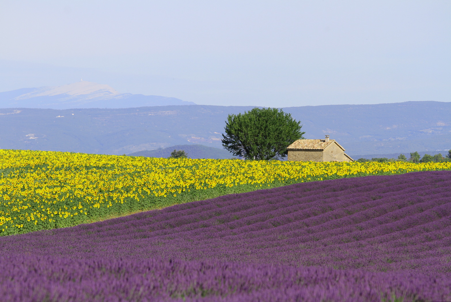 Provence