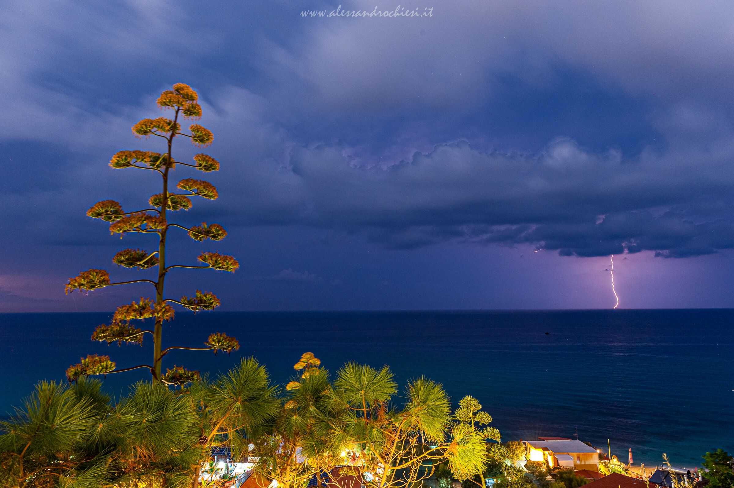 Riesumazione ... Tropea 2013