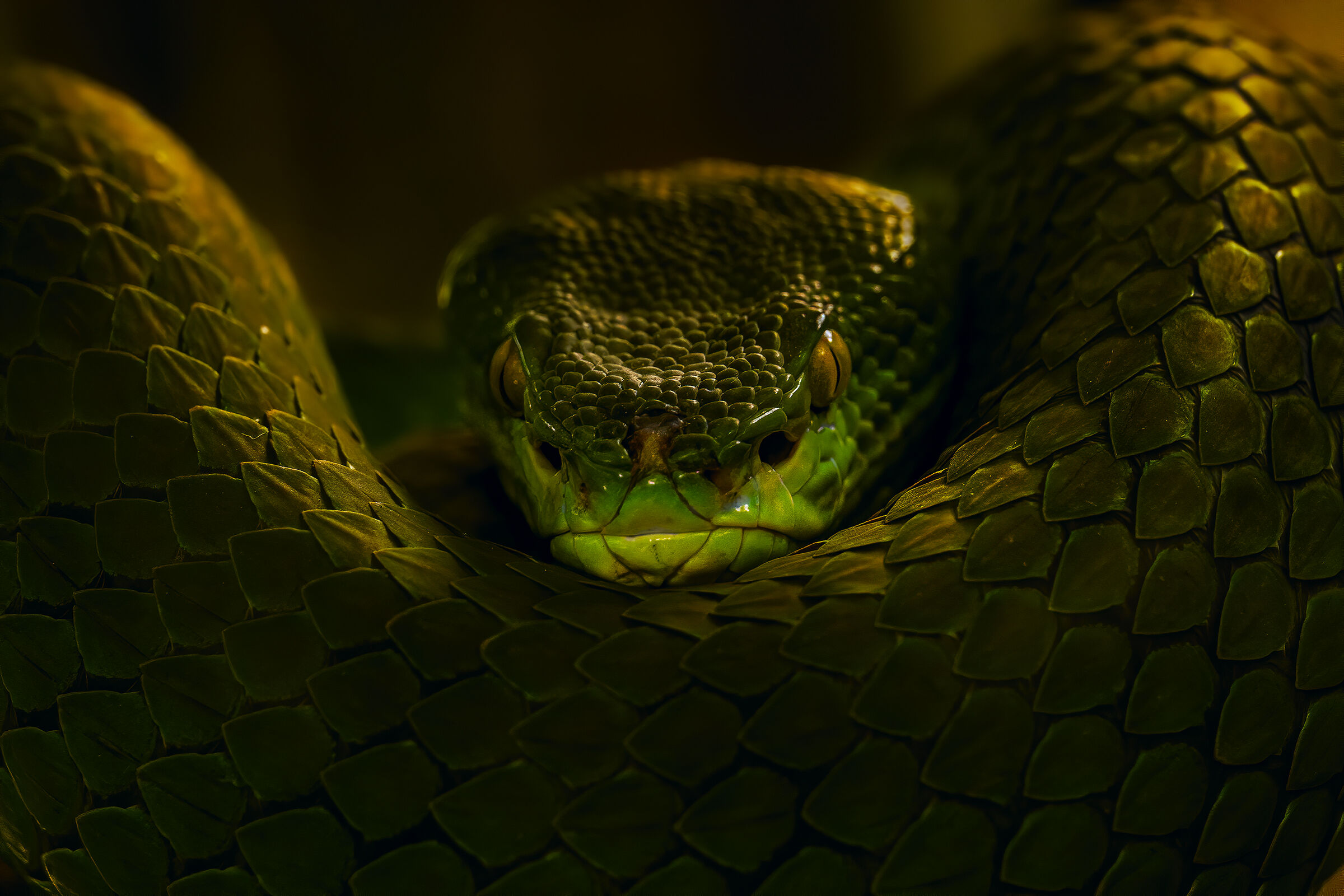 eccola qua la avevo accantonata per un qualche concorso