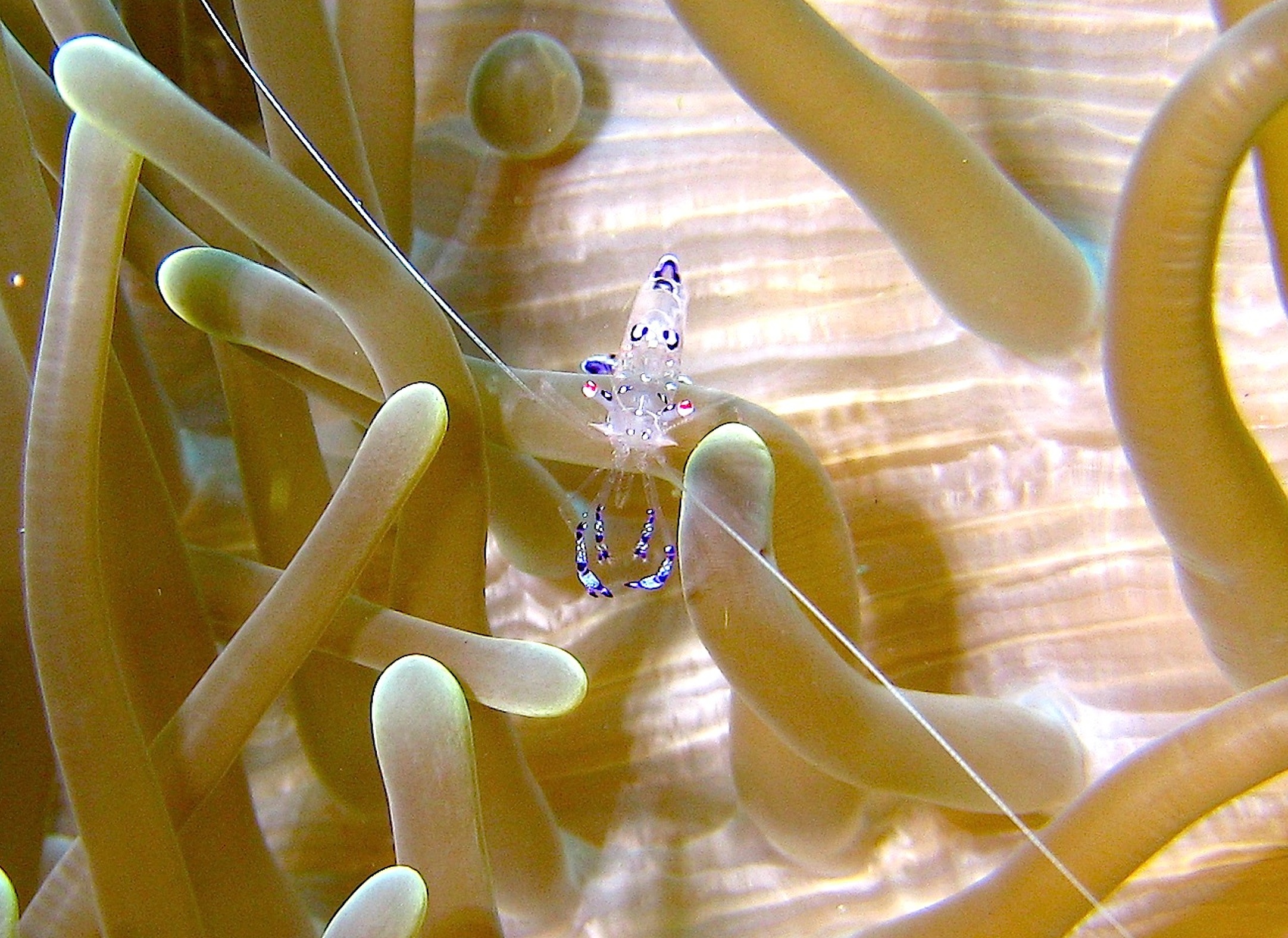 Important not to be seen