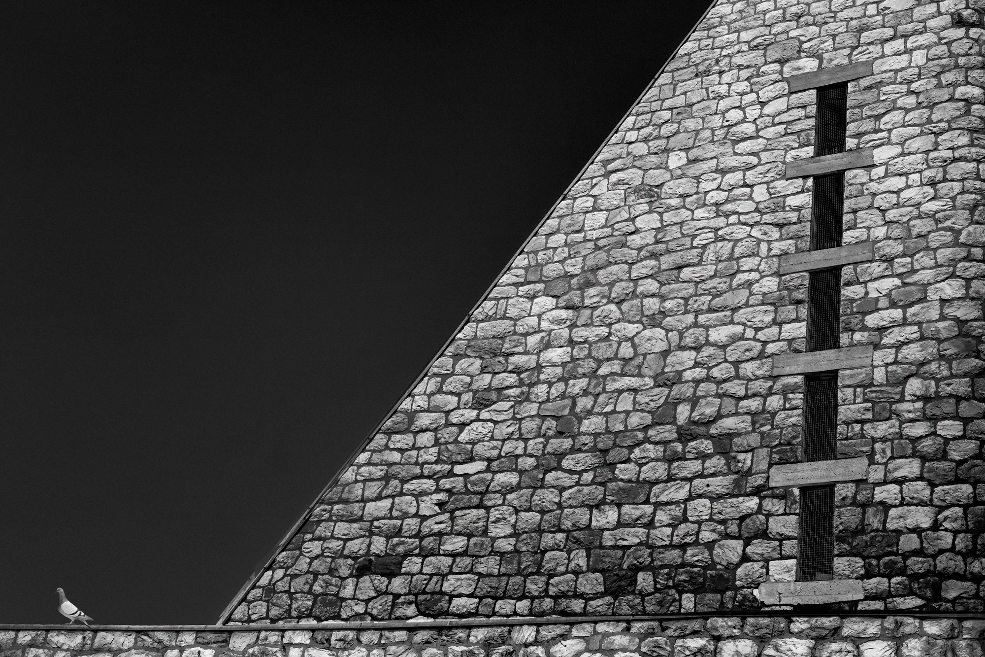 Lines, curves and the pigeon