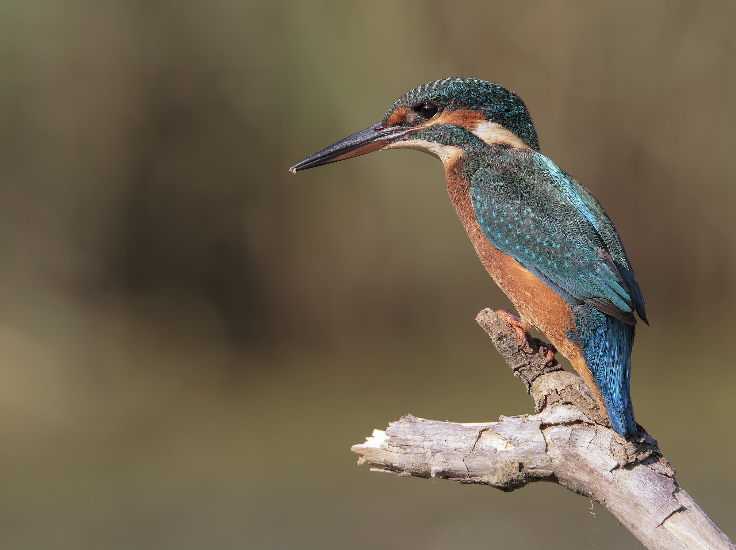 La mia amica Martina