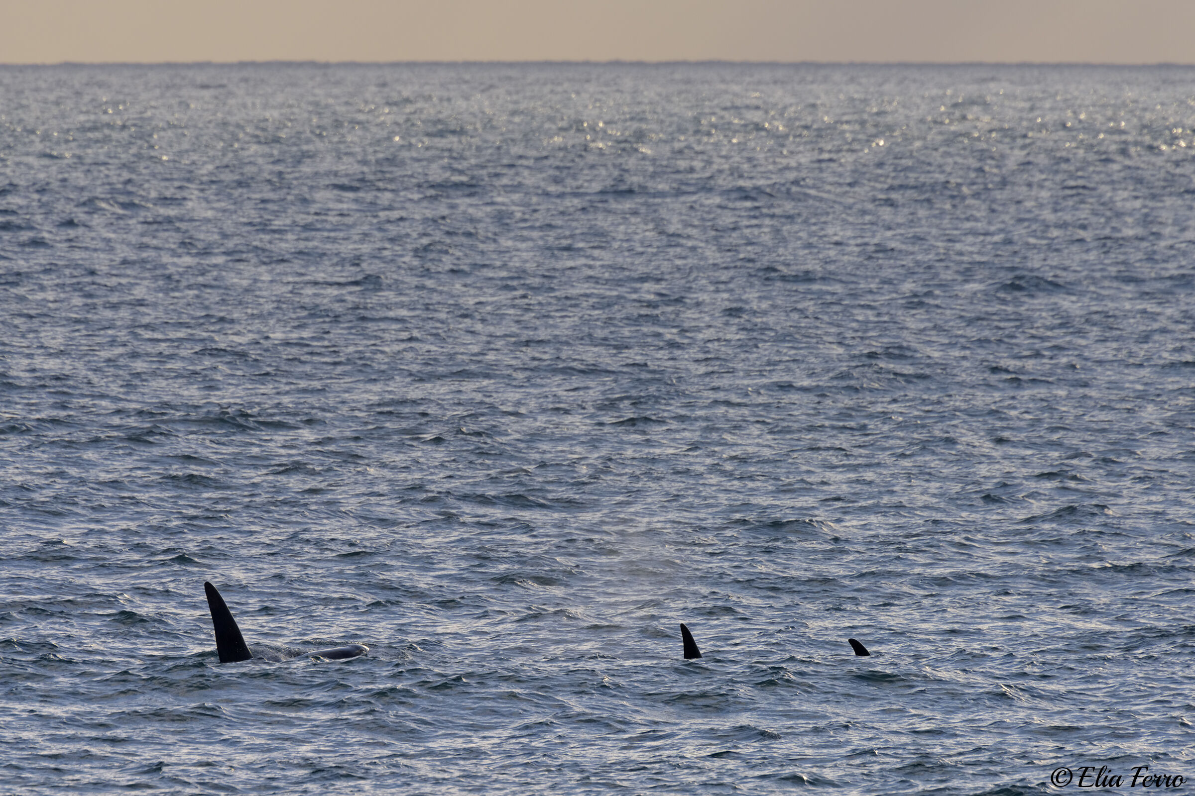 Towards infinity and beyond