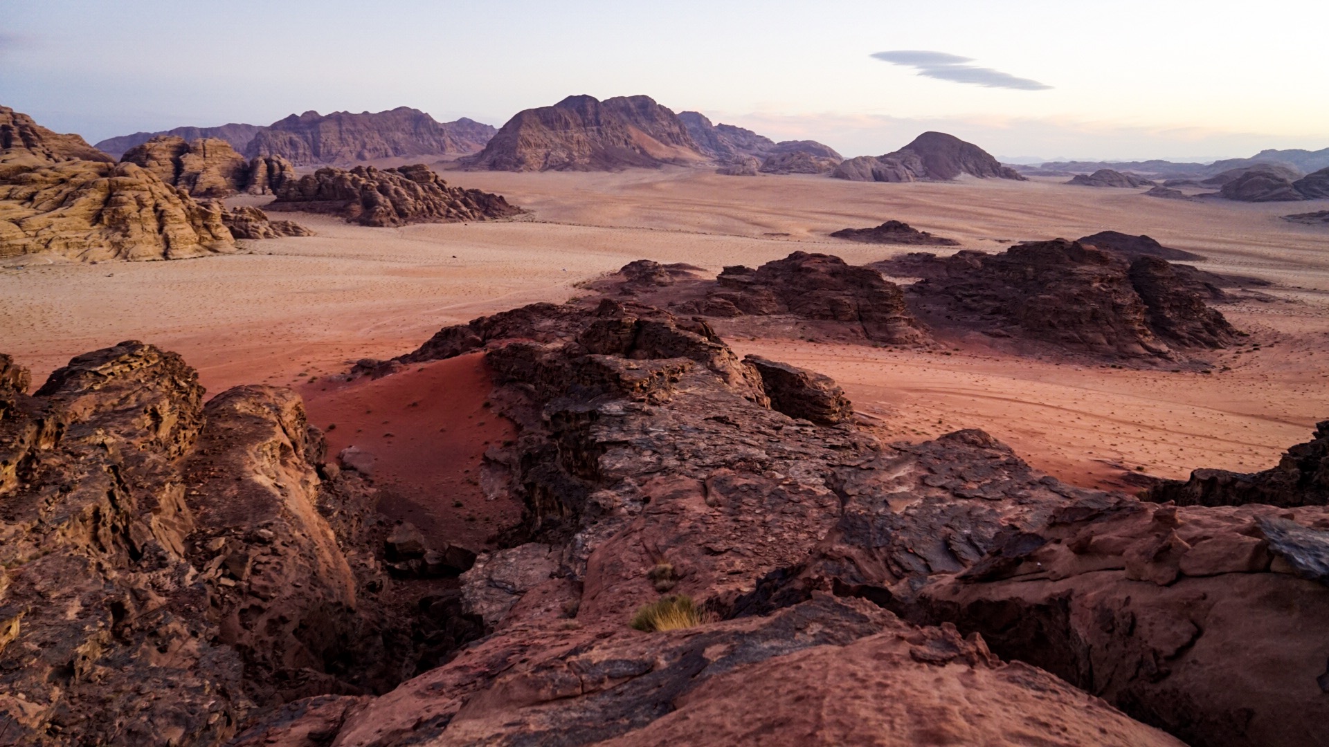 Wadi rum