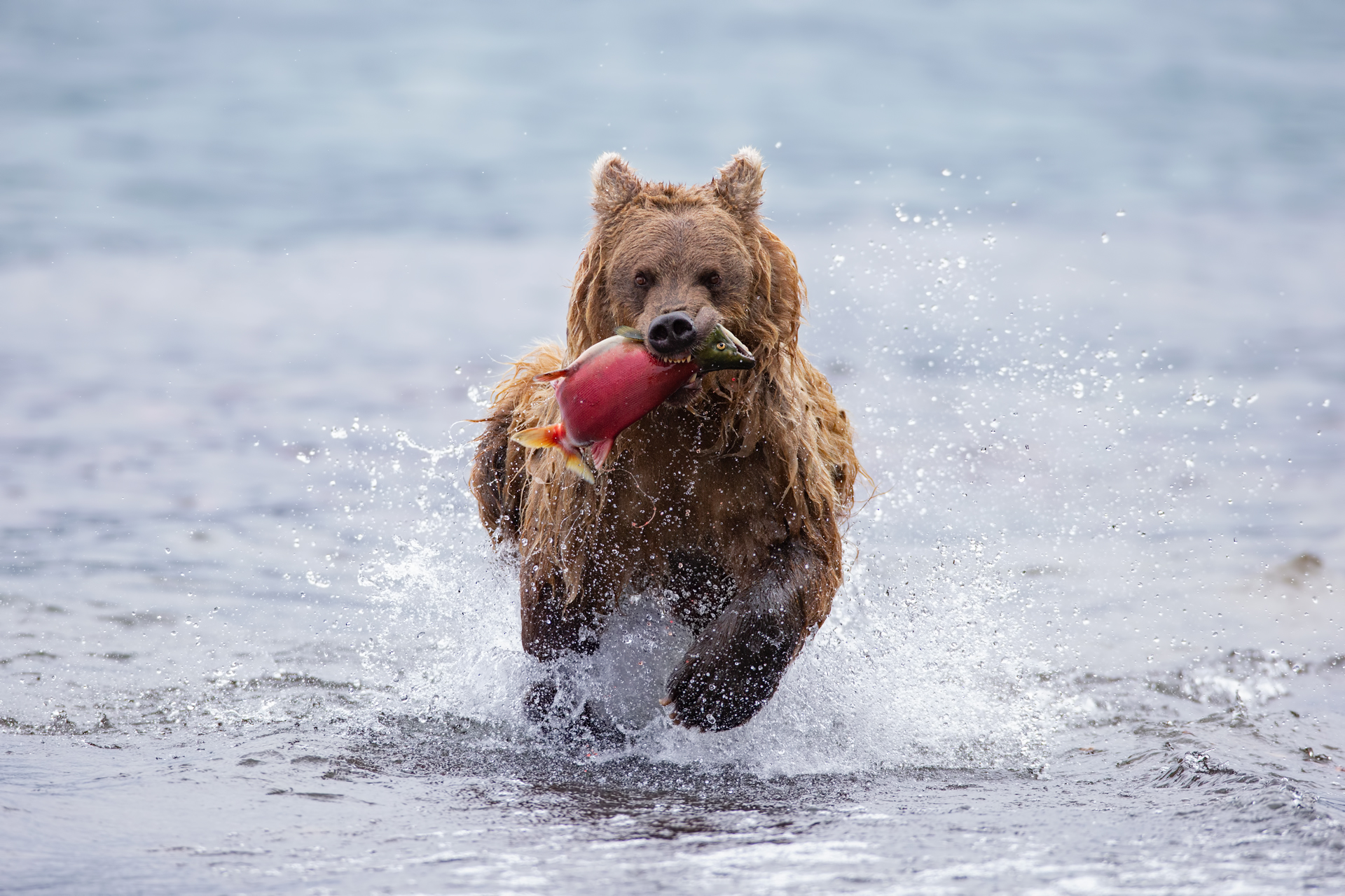 uno snack di corsa...
