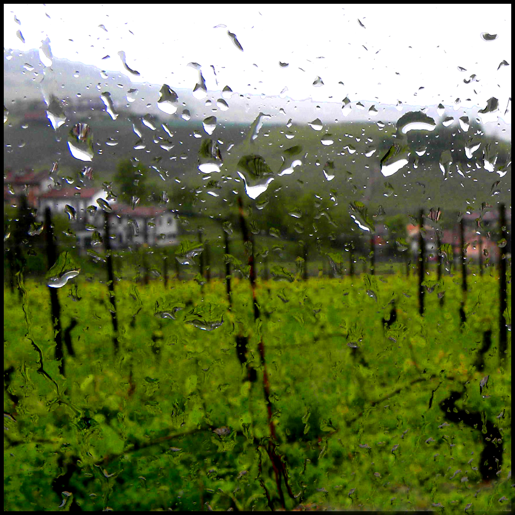 Piove su tutta la Langa