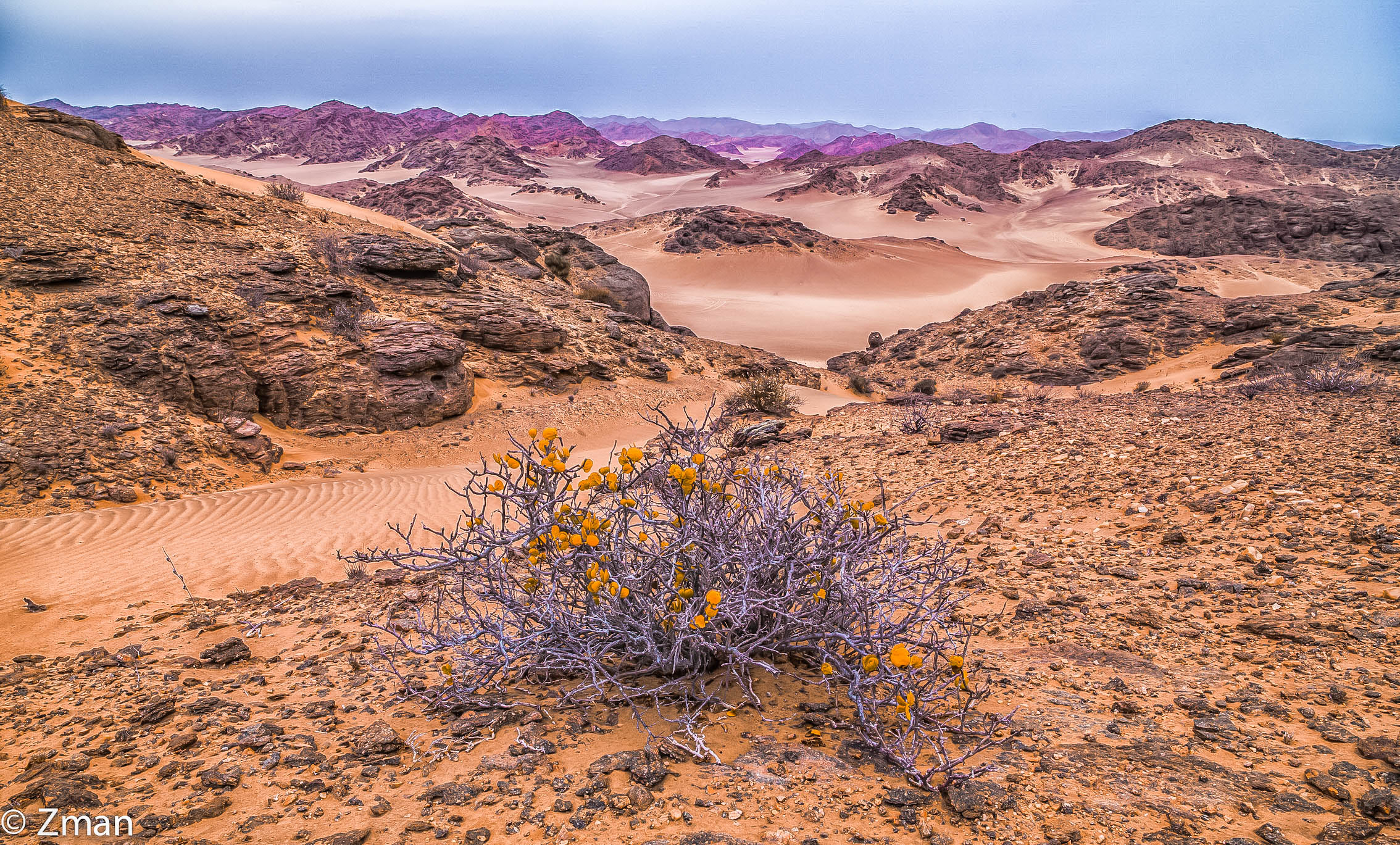 Paesaggio selvaggio della Namibia