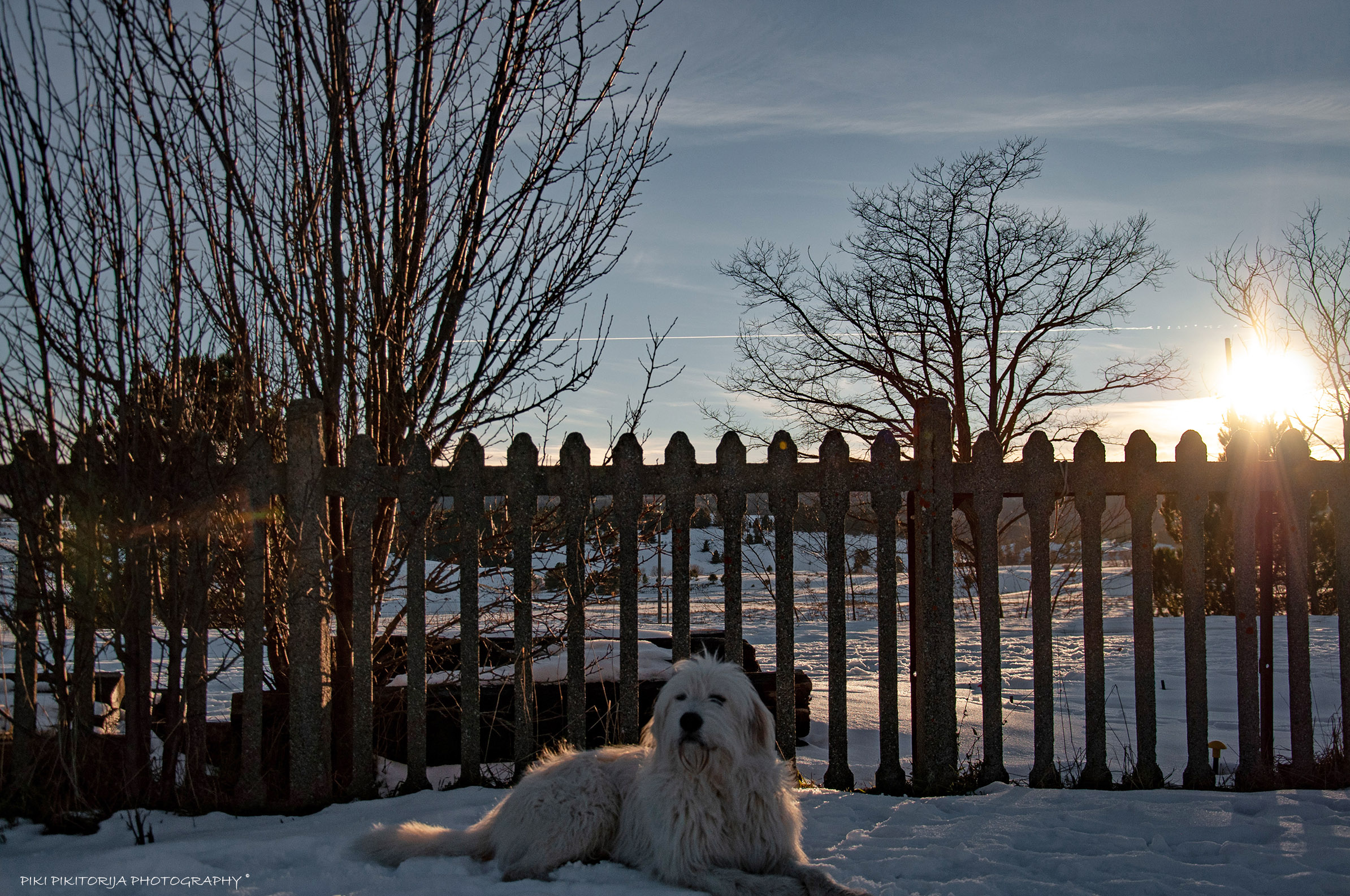Winter emoziozi