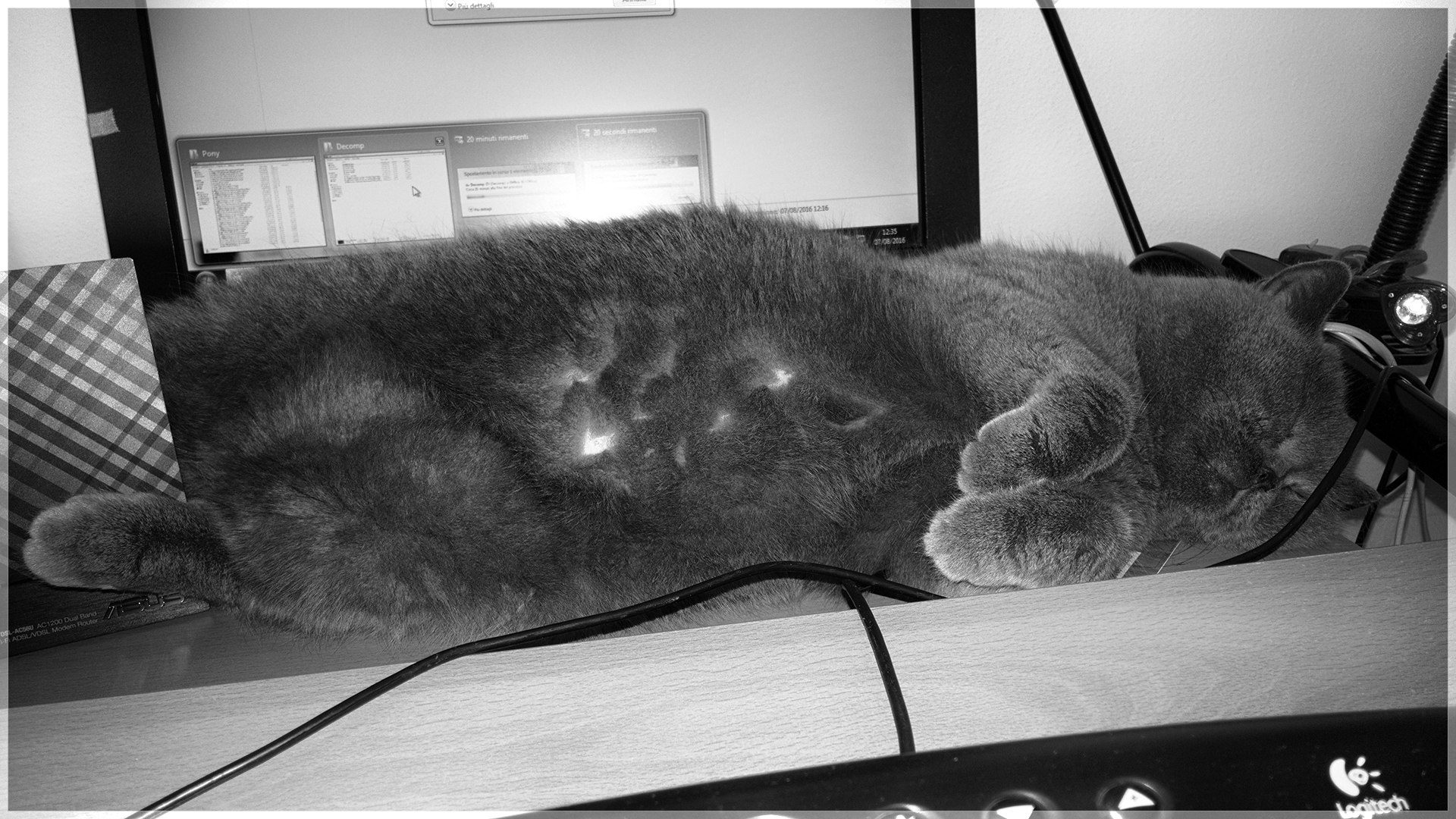 Tranquillo zio, ti aiuto io a sistemare le foto.