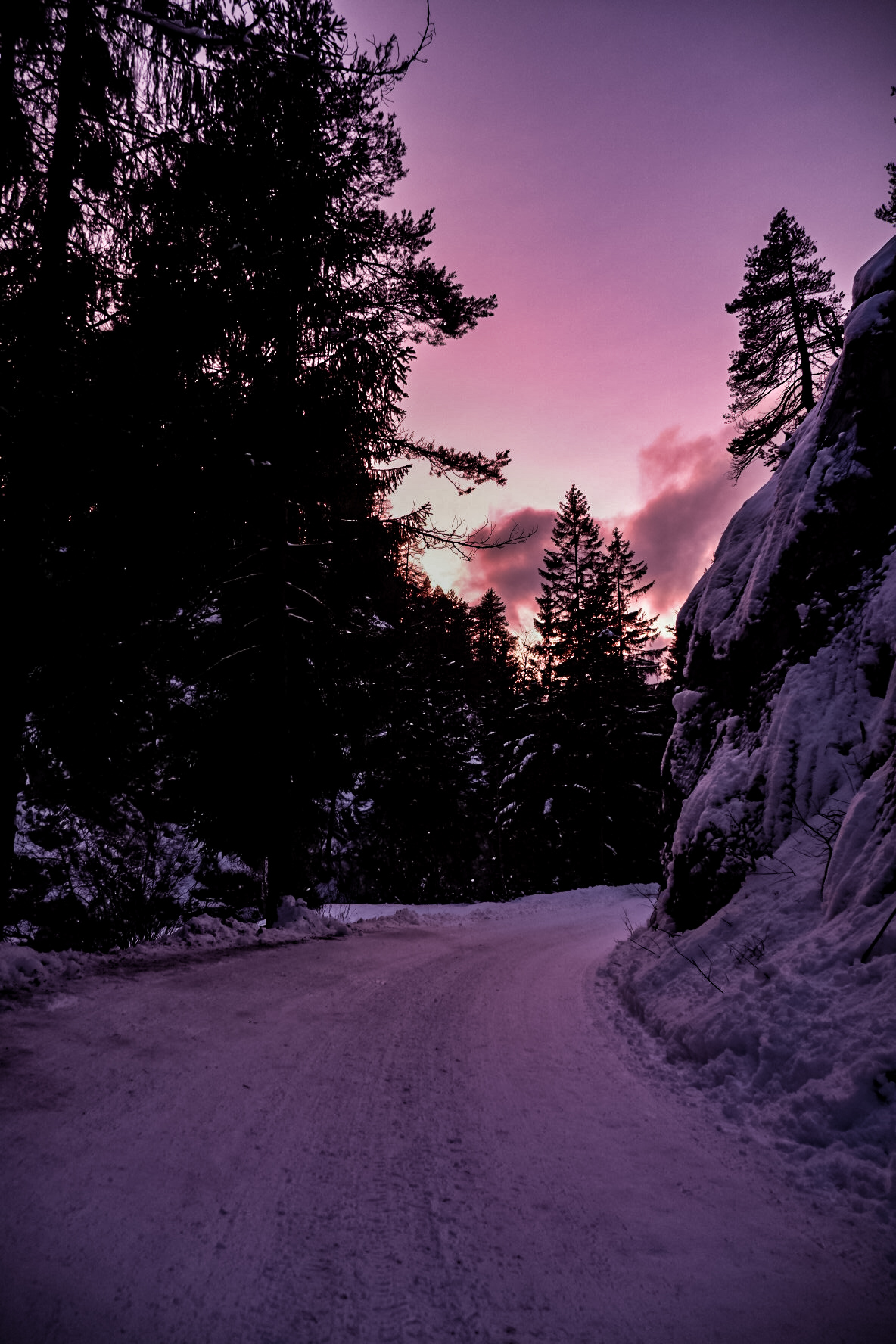 The tepore of winter