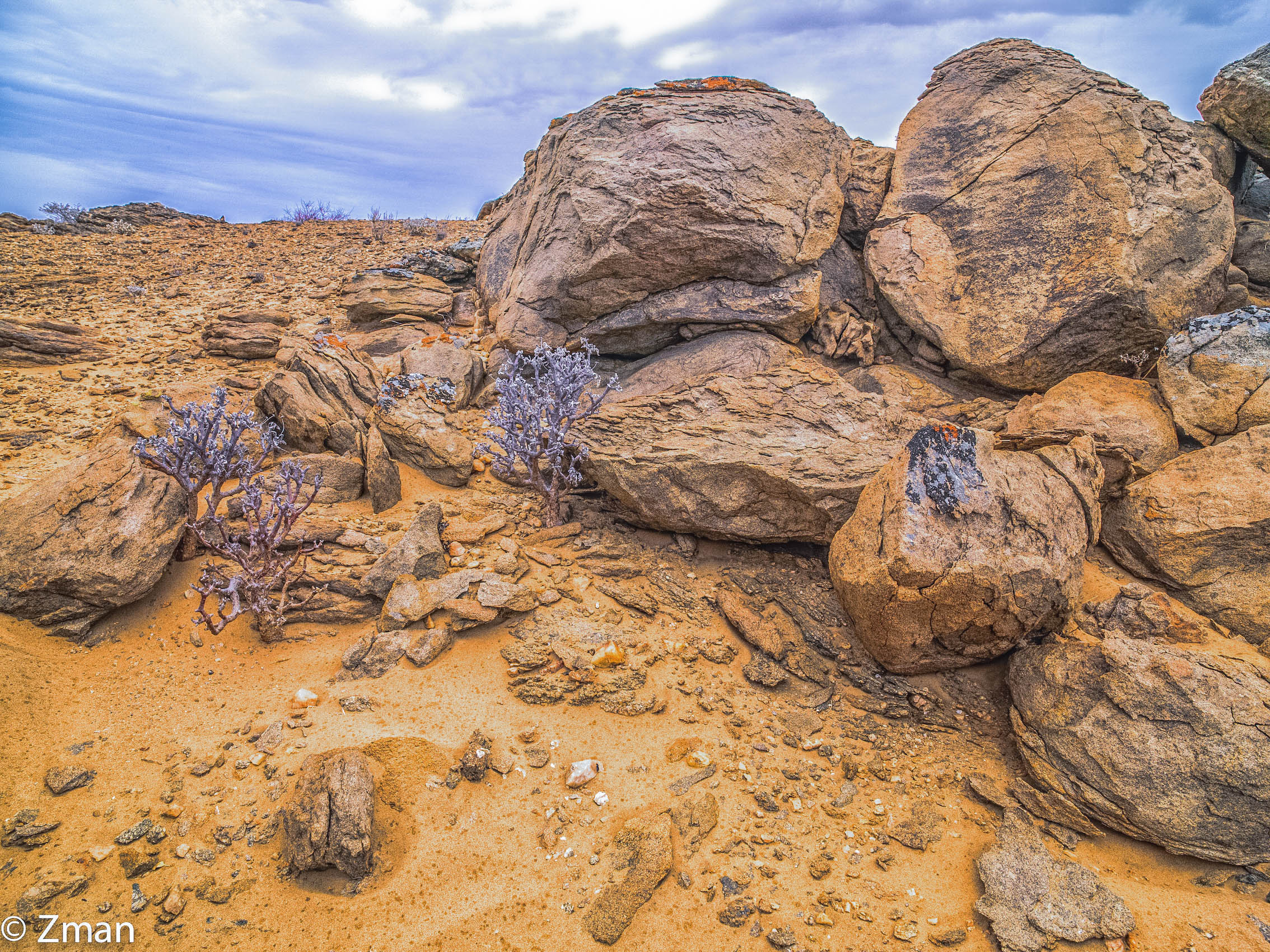 Namibia selvaggia cruda
