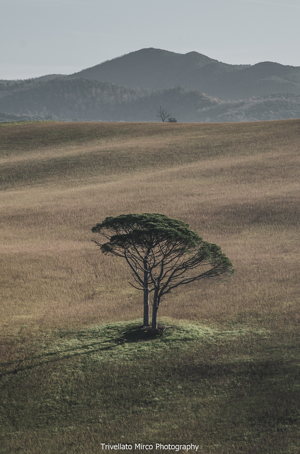 Holy Light Pieve Hills