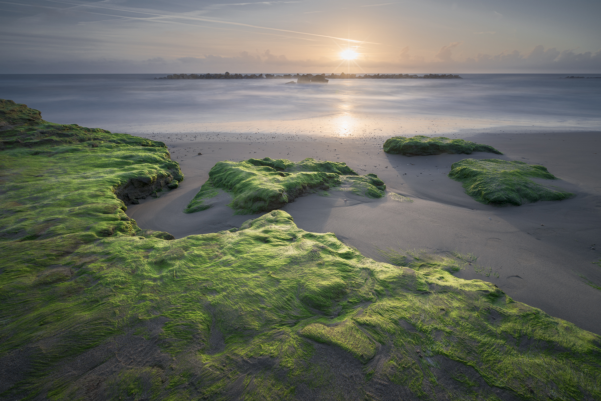 A Game of Light among the Seaweed
