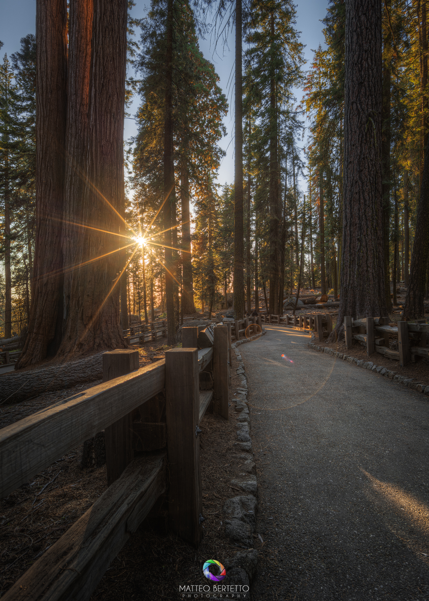 Sequoia National Park - California