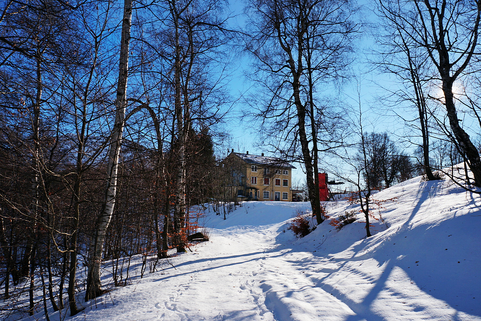 snowy boulevard