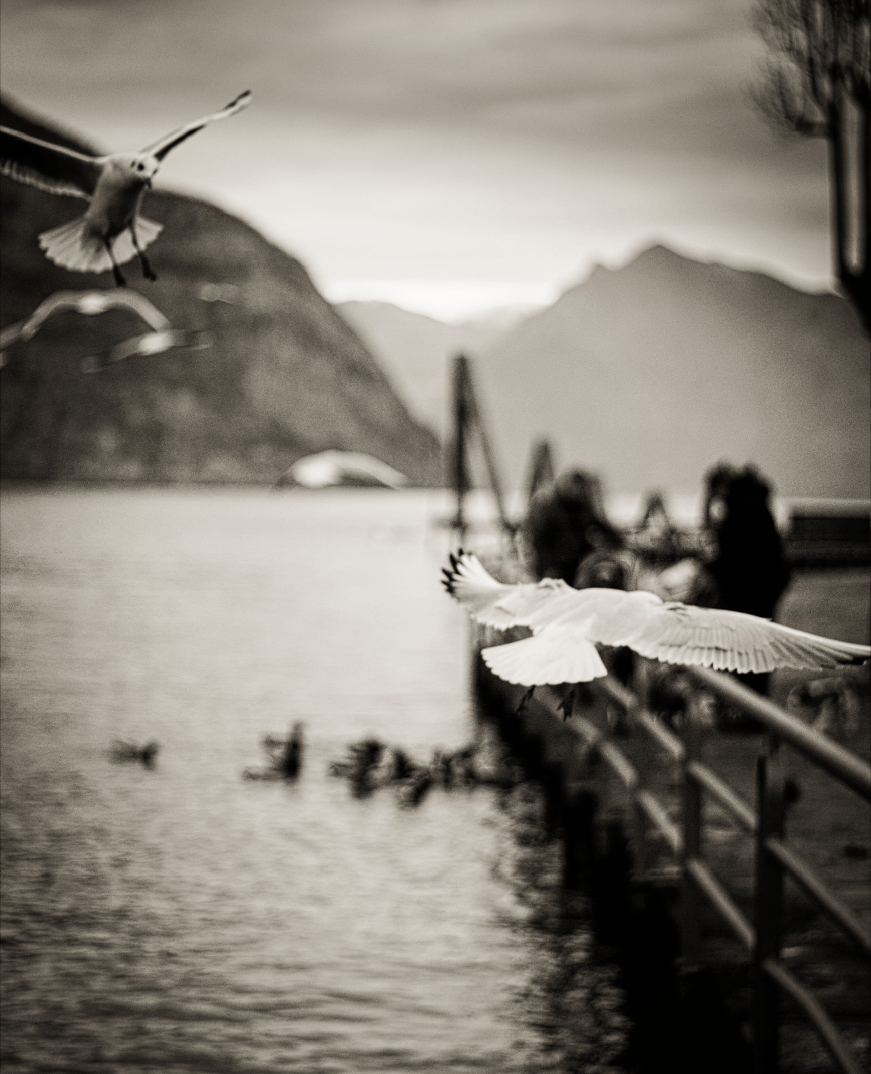 A passeggio per Iseo