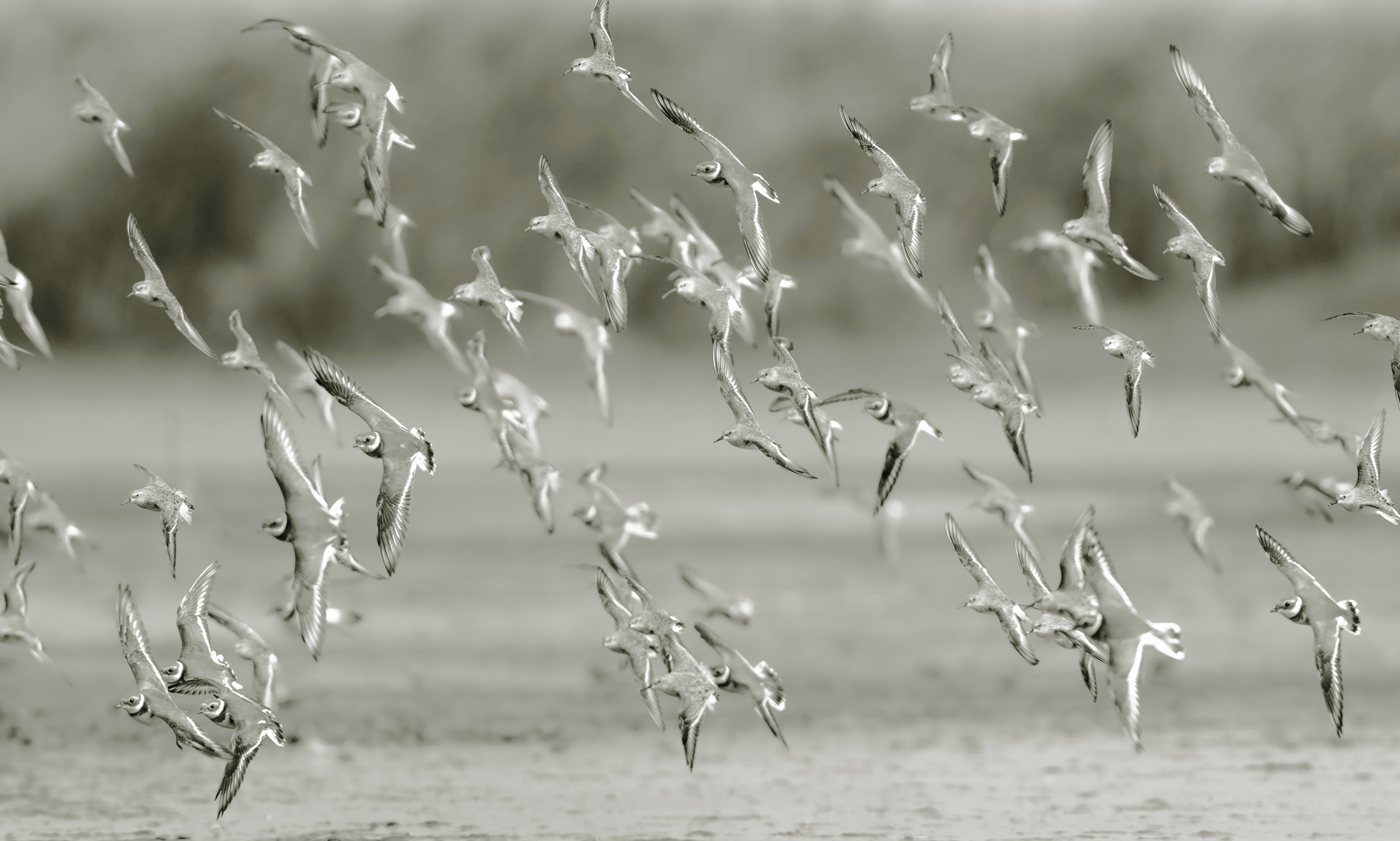 mescolare e abbinare