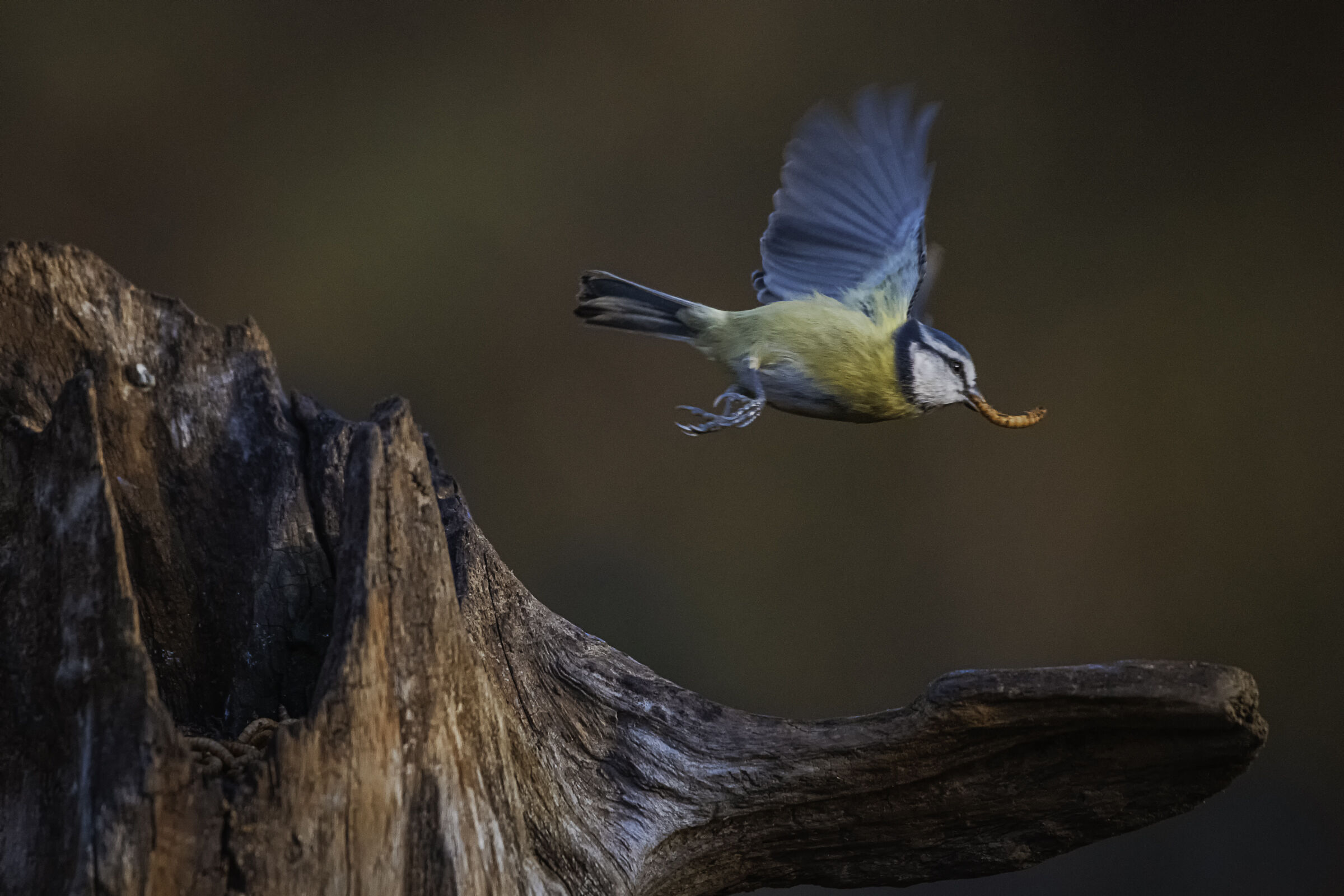 Run away with the loot!